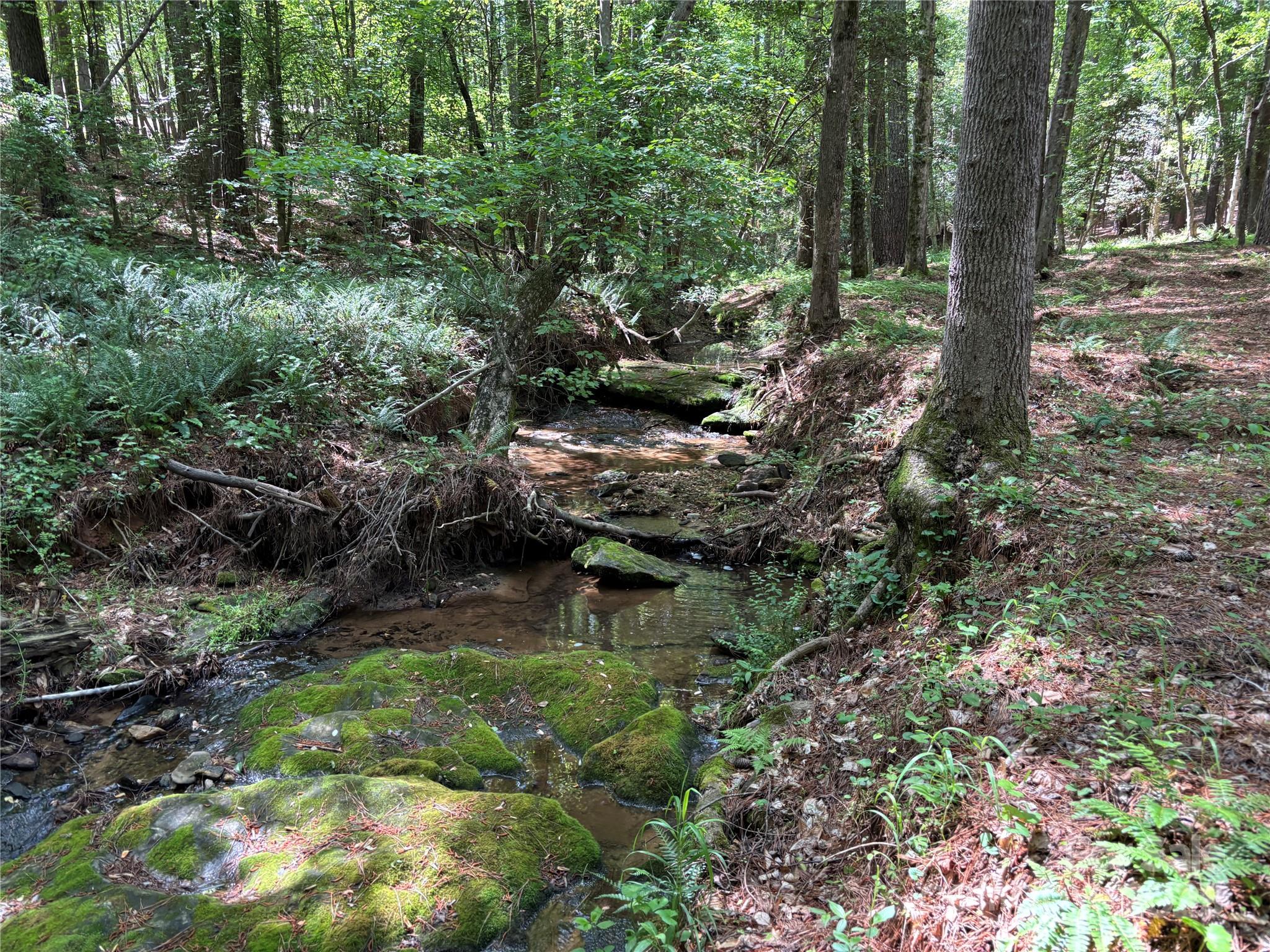 5137 Buckhead Road Property Photo 39