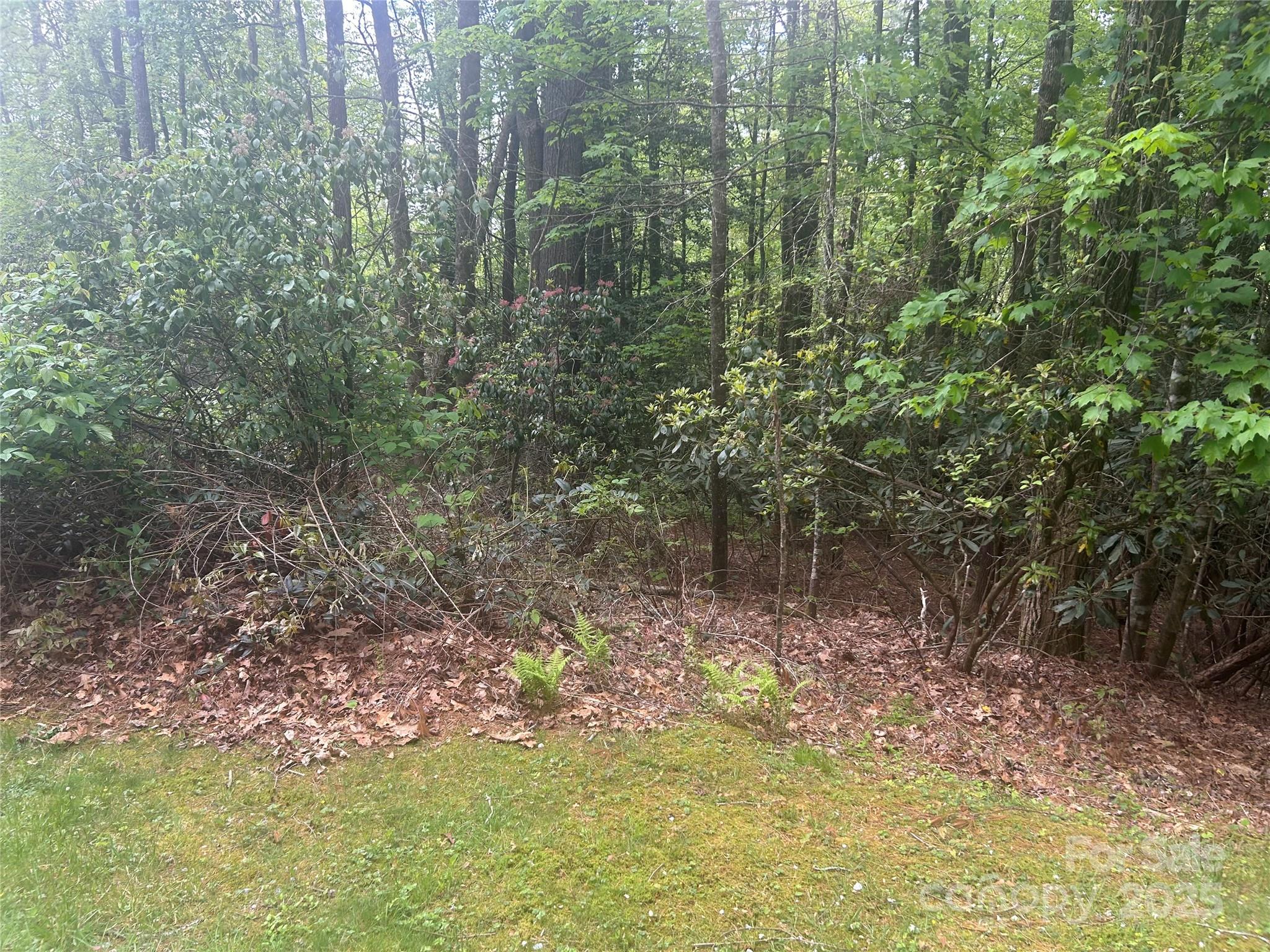 Tbd Upper Whitewater Road Property Photo 2