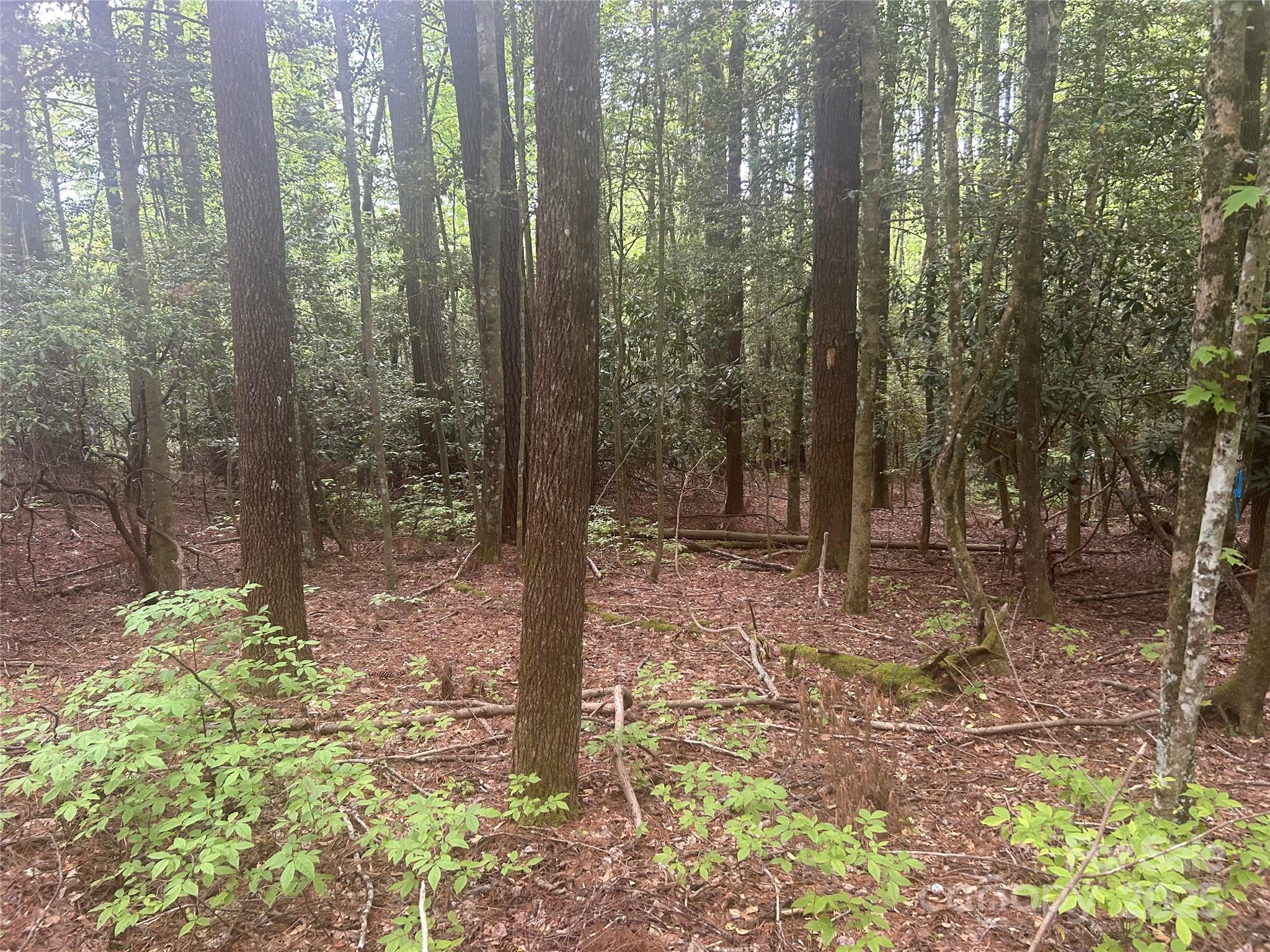 Tbd Upper Whitewater Road Property Photo 3