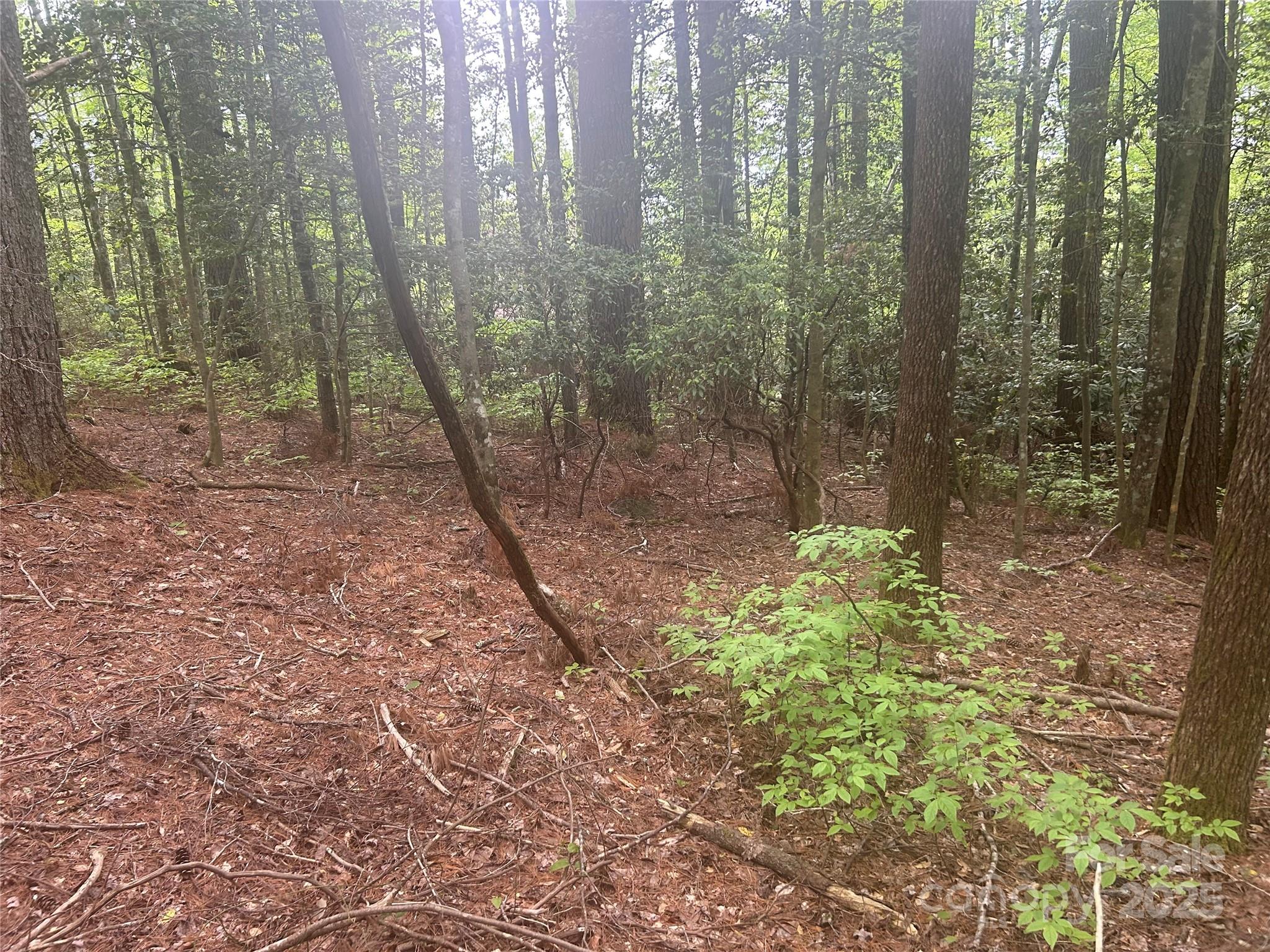 Tbd Upper Whitewater Road Property Photo 4
