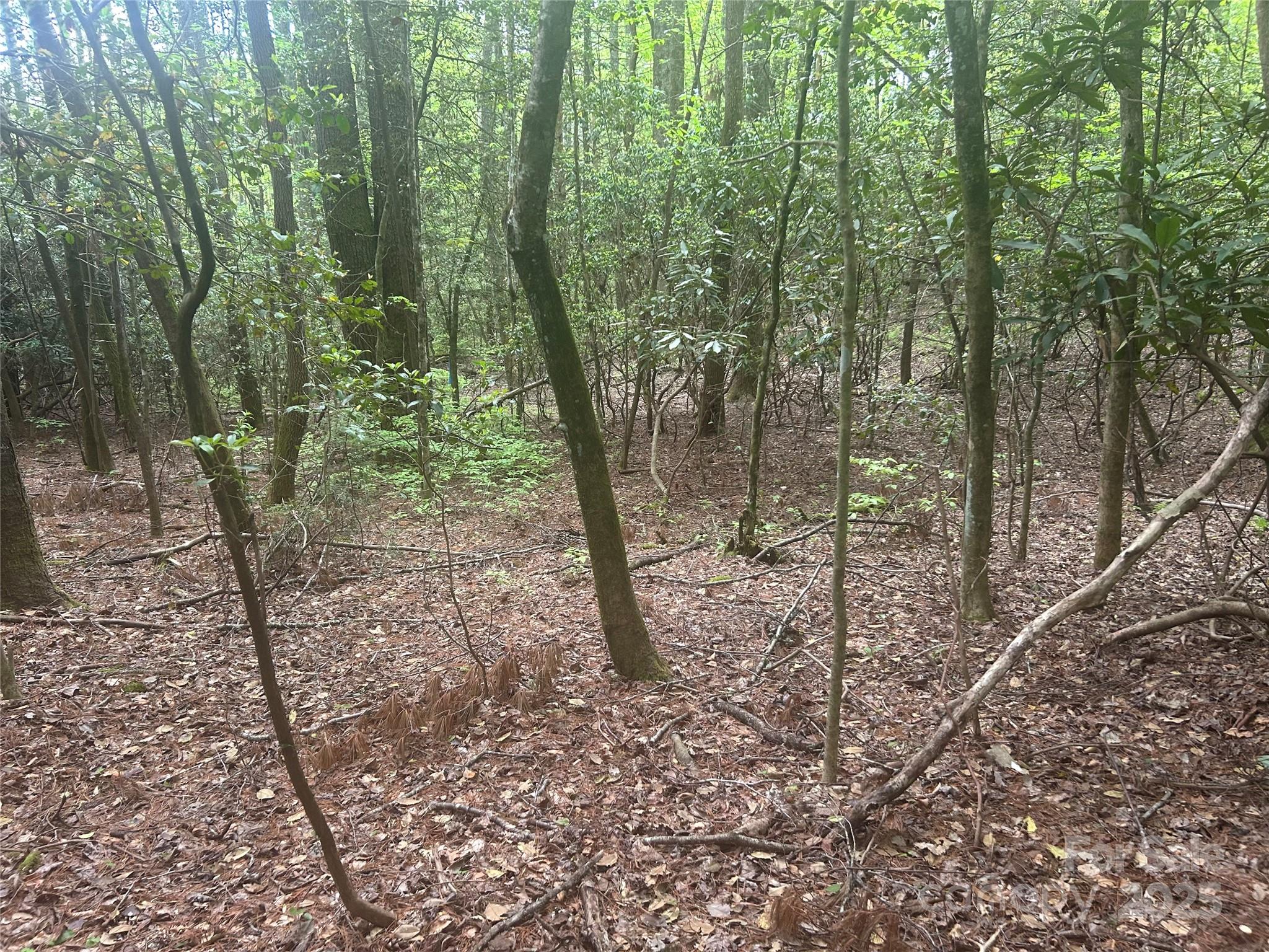 Tbd Upper Whitewater Road Property Photo 5