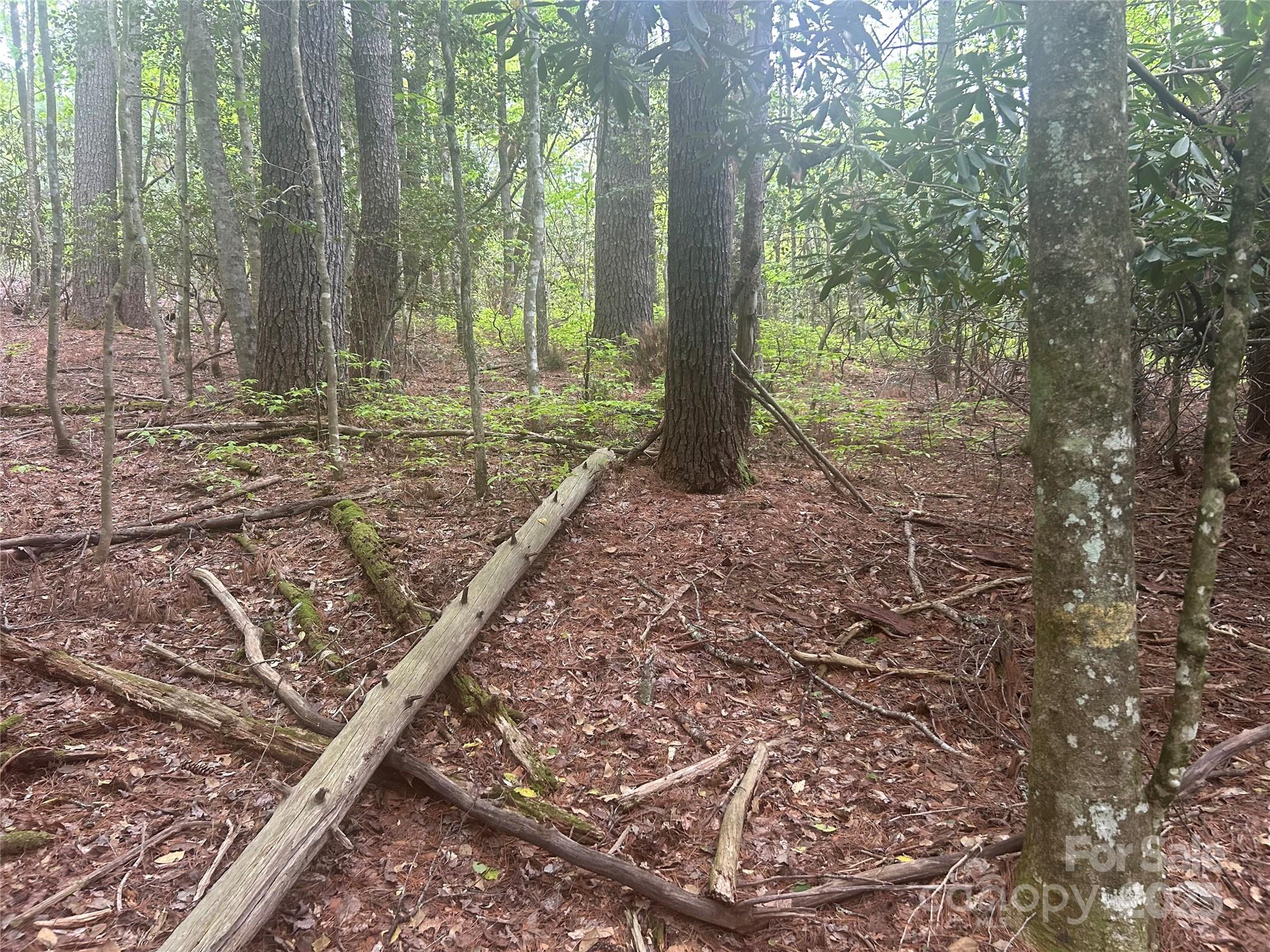 Tbd Upper Whitewater Road Property Photo 6