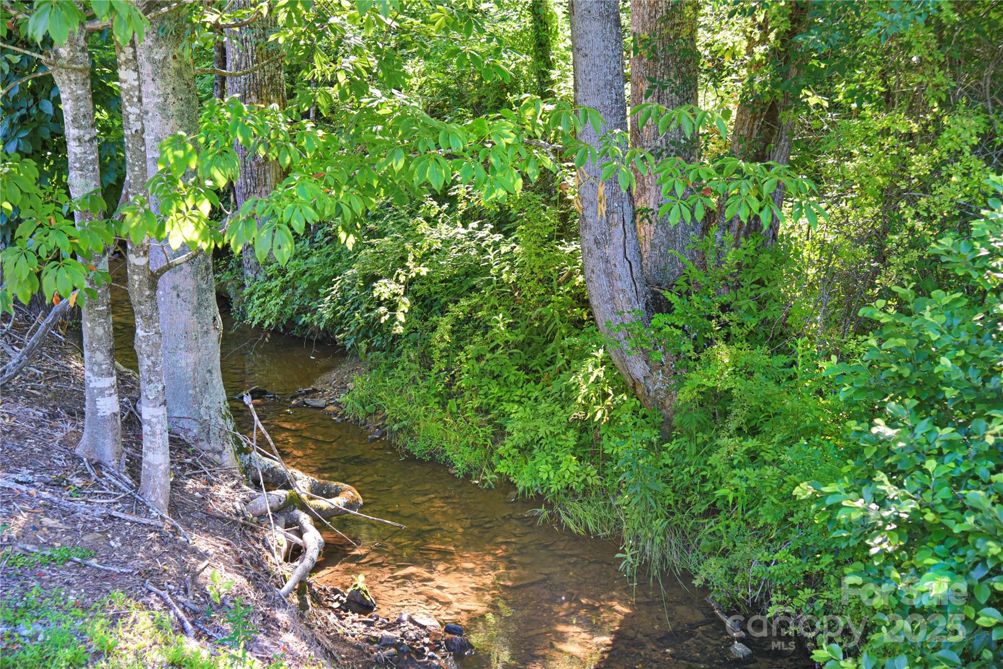 14622 226 Highway Property Photo 35
