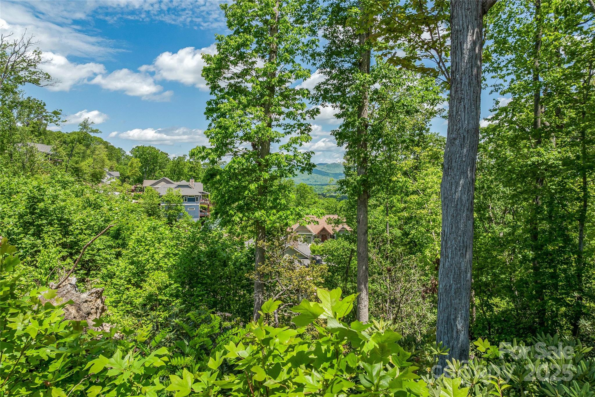 81 Curtain Bluff Property Photo 16