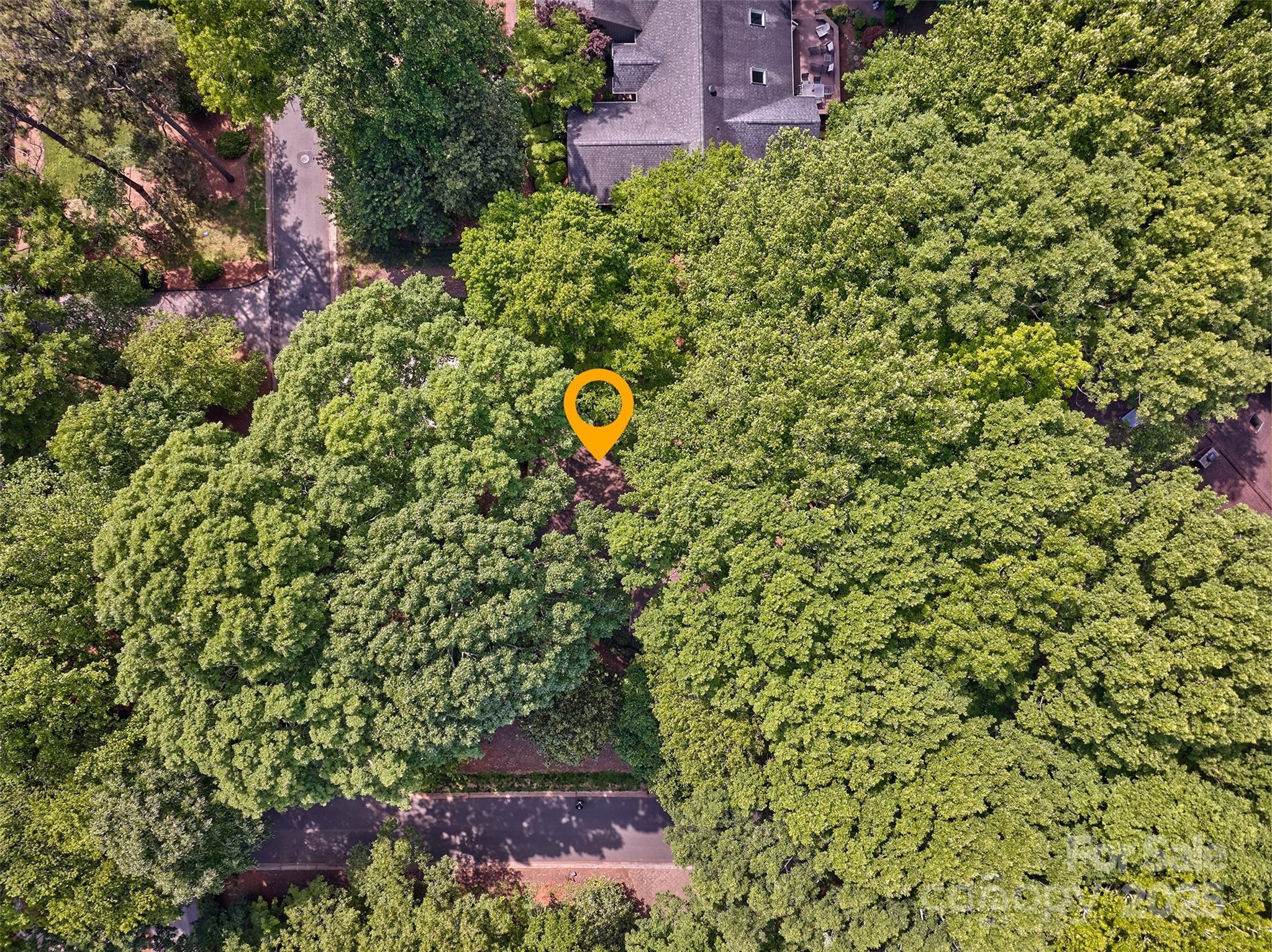 46 Timberidge Drive Property Photo 38