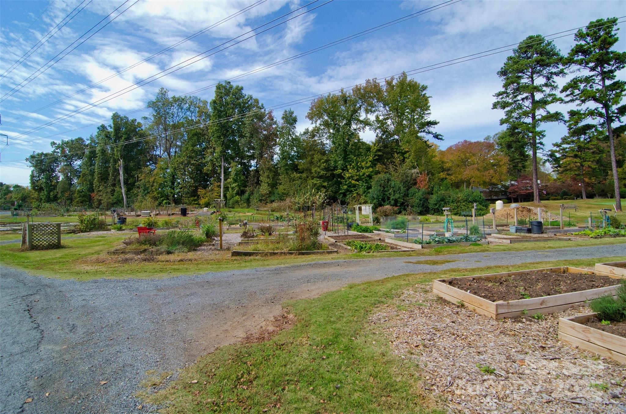 46 Timberidge Drive Property Photo 43