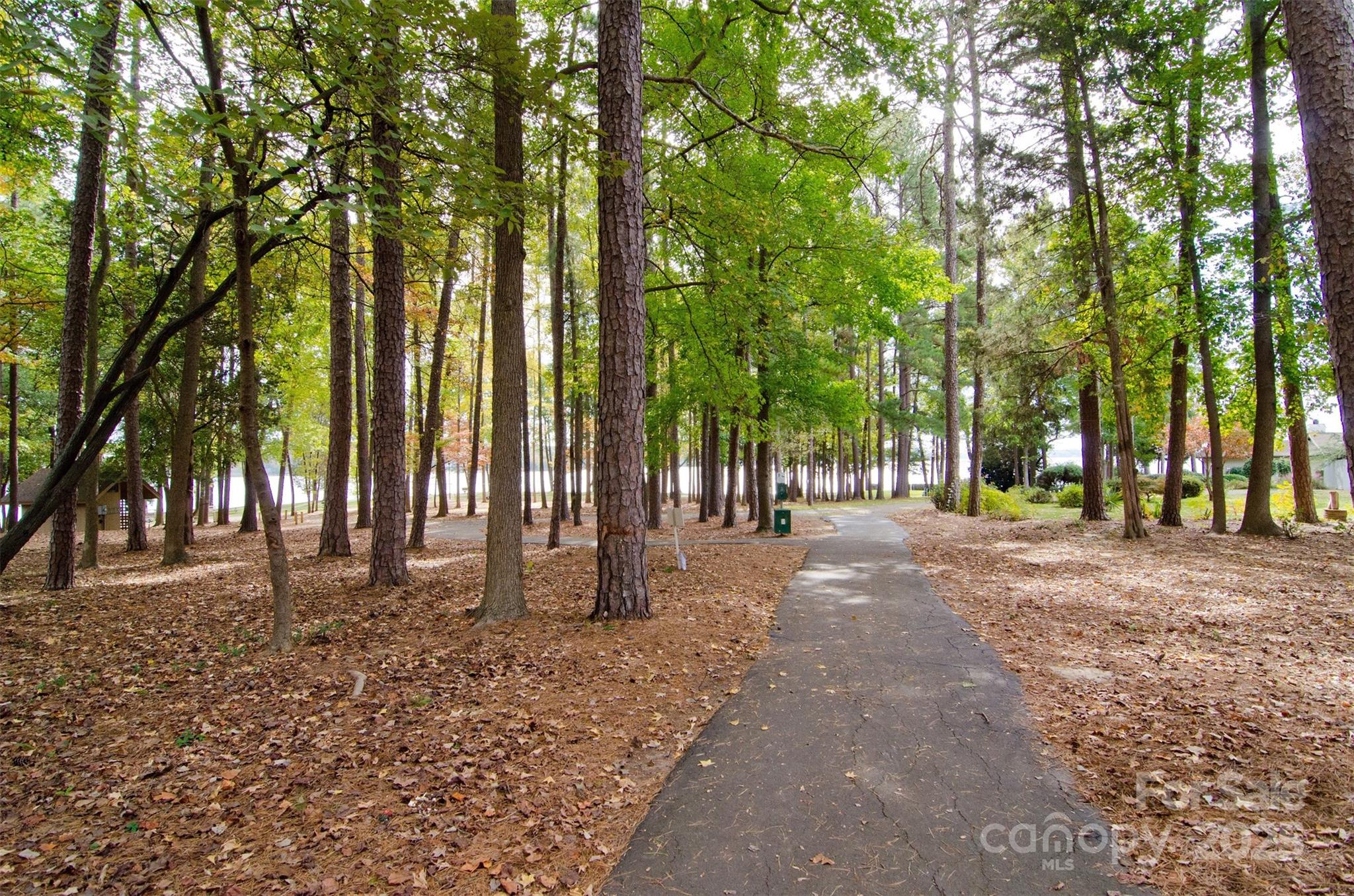 46 Timberidge Drive Property Photo 46