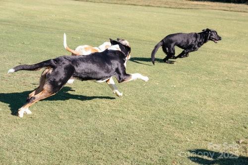 46 Timberidge Drive Property Photo 48