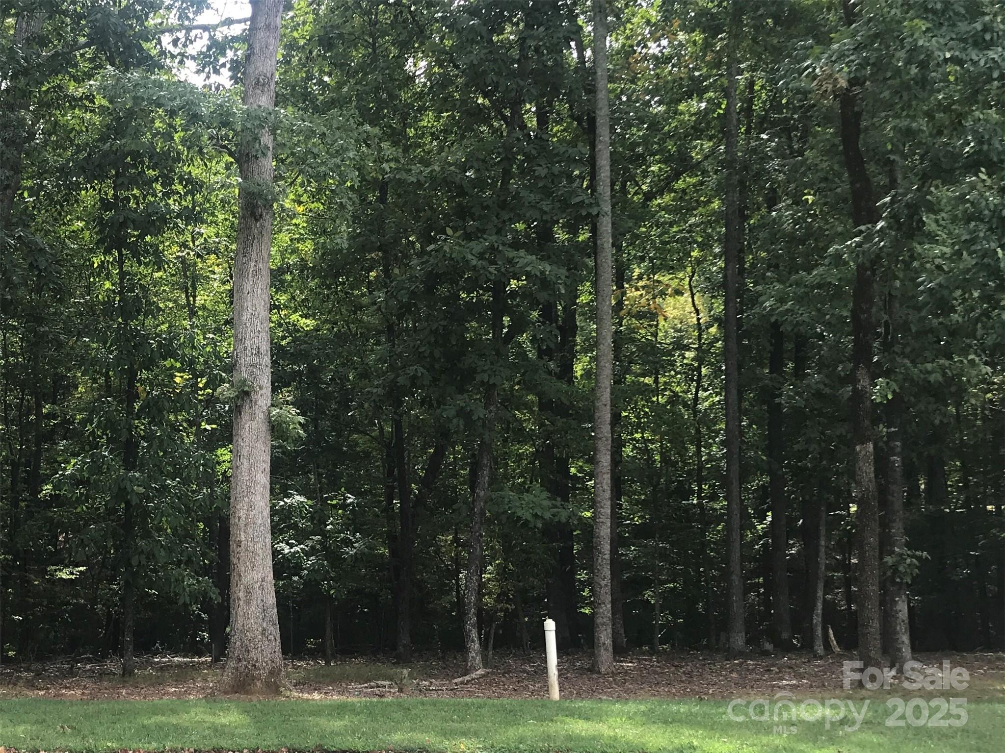 6107 Volte Drive 98 Property Photo 1