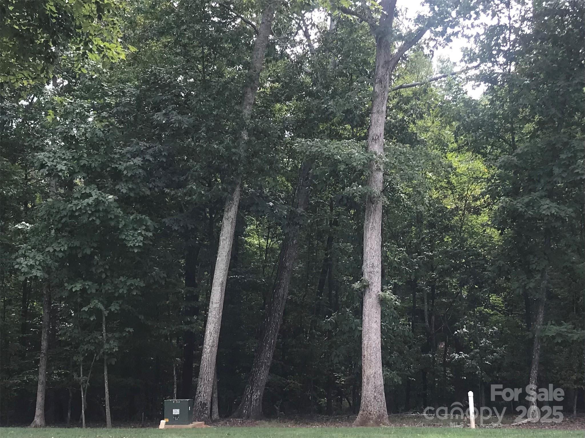 6107 Volte Drive 98 Property Photo 2