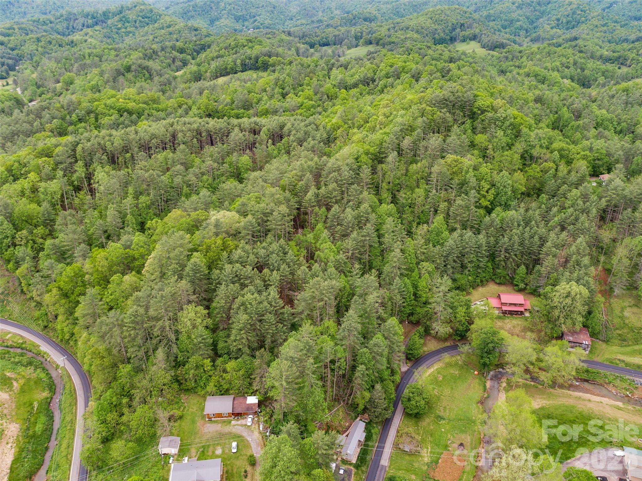 0000 Jacks Creek Road Property Photo 11