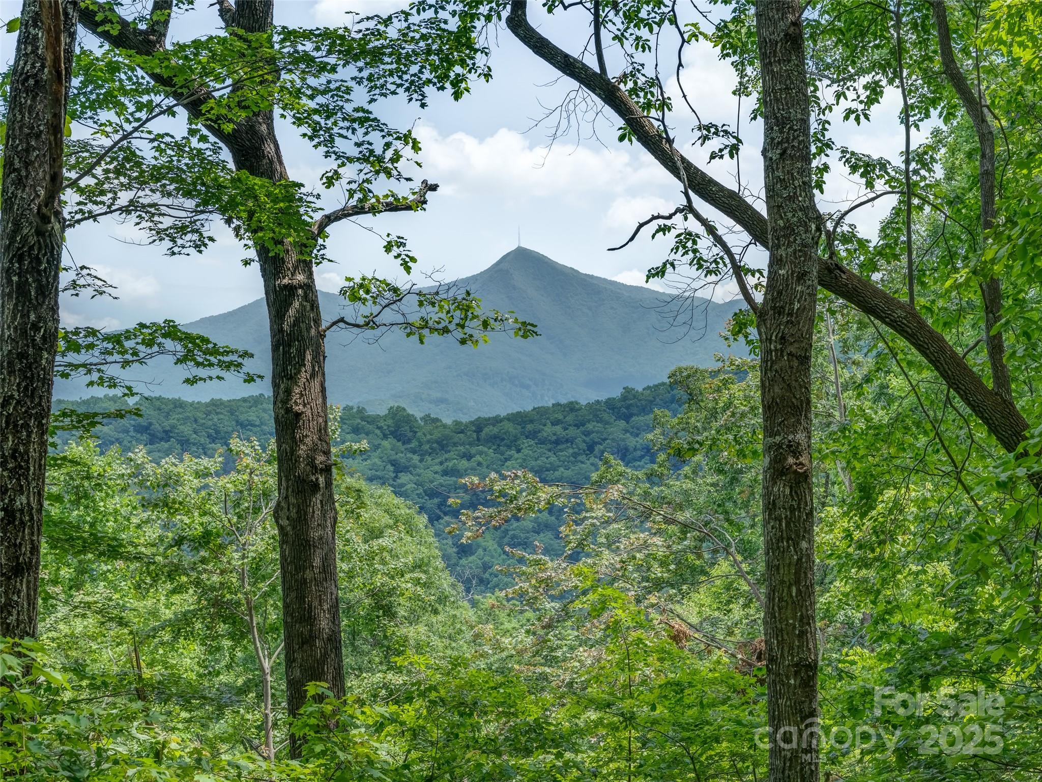 100 White Rock Branch Road Property Photo 2