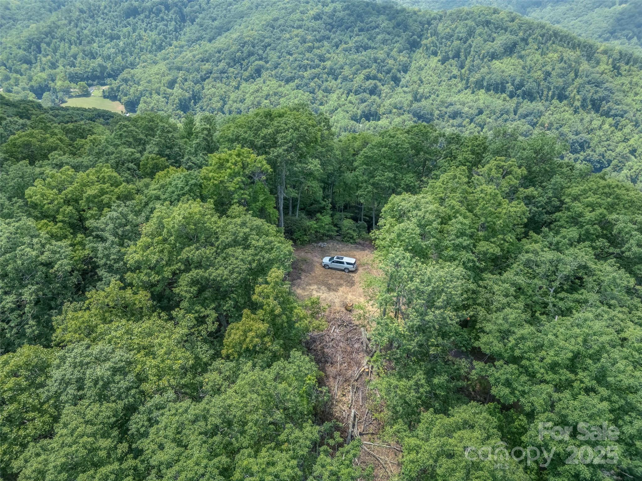 100 White Rock Branch Road Property Photo 5