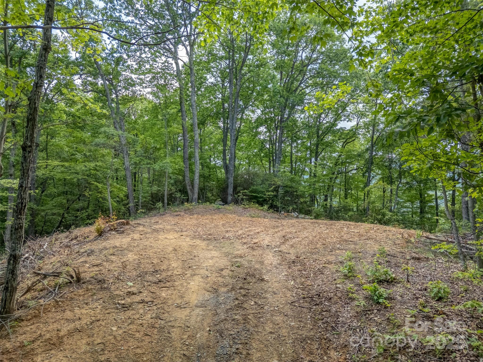 100 White Rock Branch Road Property Photo 6