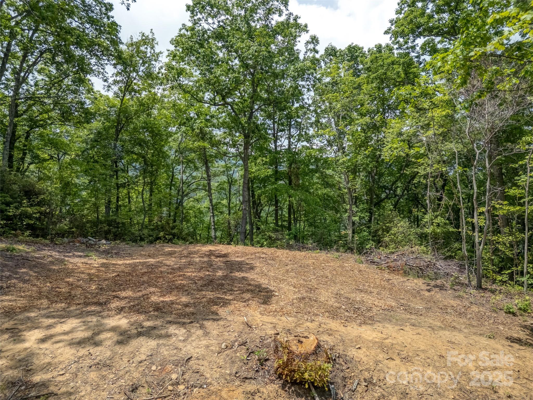 100 White Rock Branch Road Property Photo 7