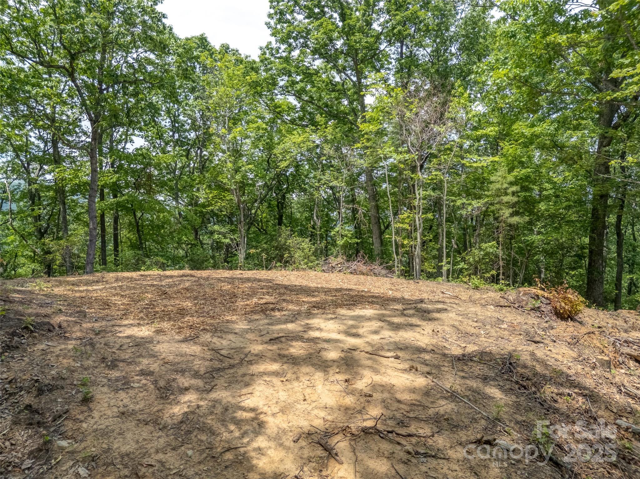 100 White Rock Branch Road Property Photo 8