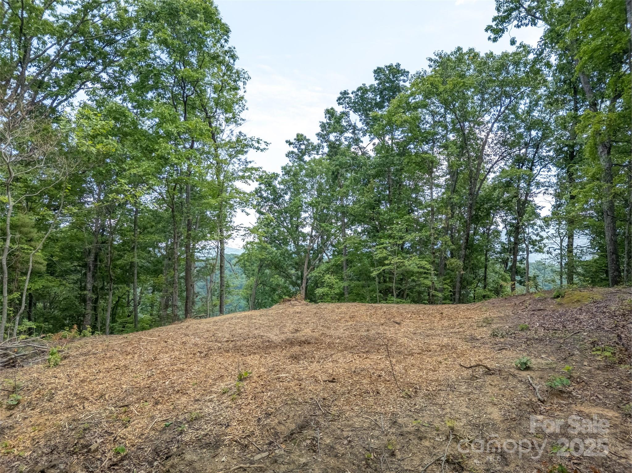 100 White Rock Branch Road Property Photo 9