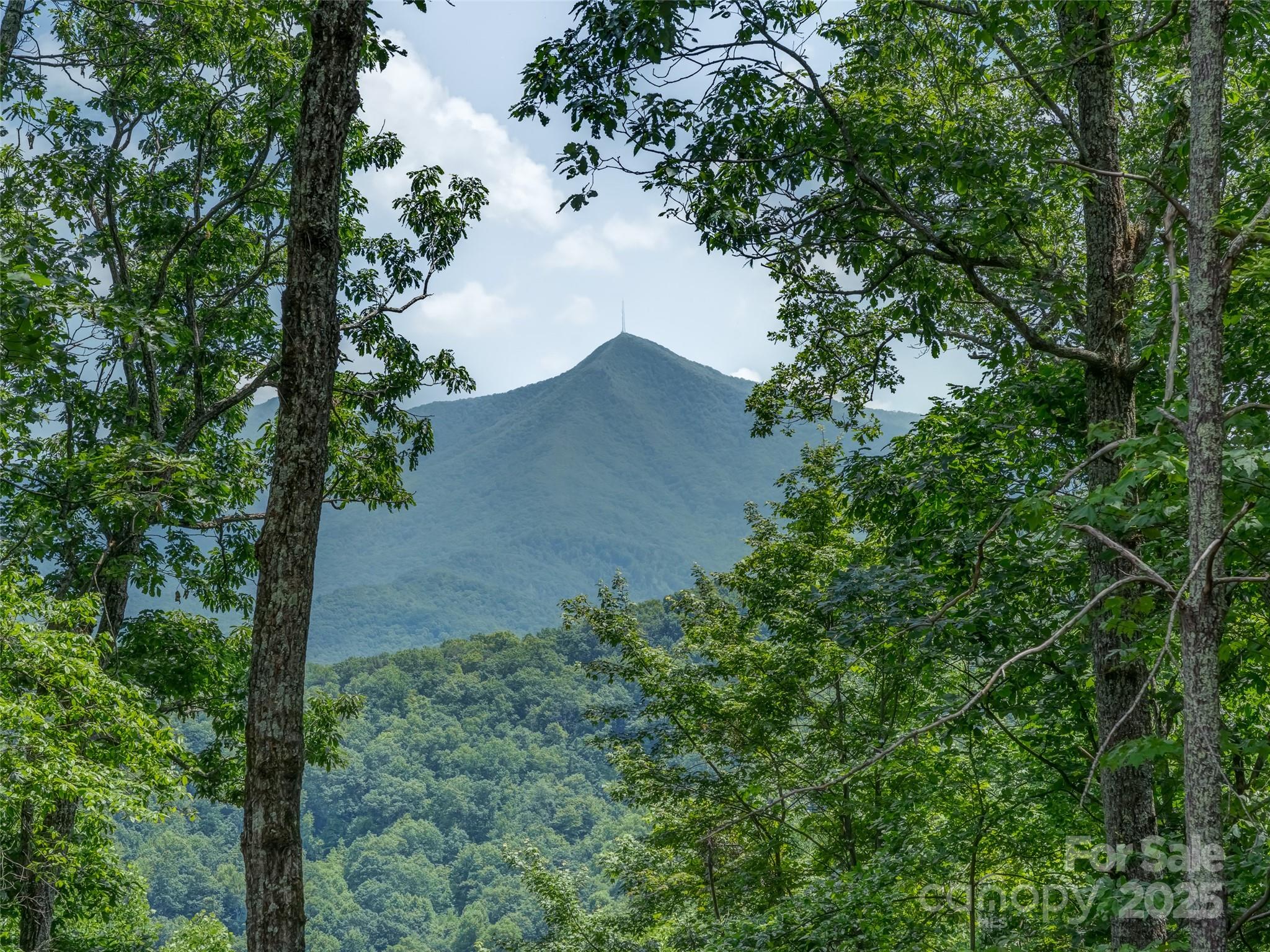 100 White Rock Branch Road Property Photo 10