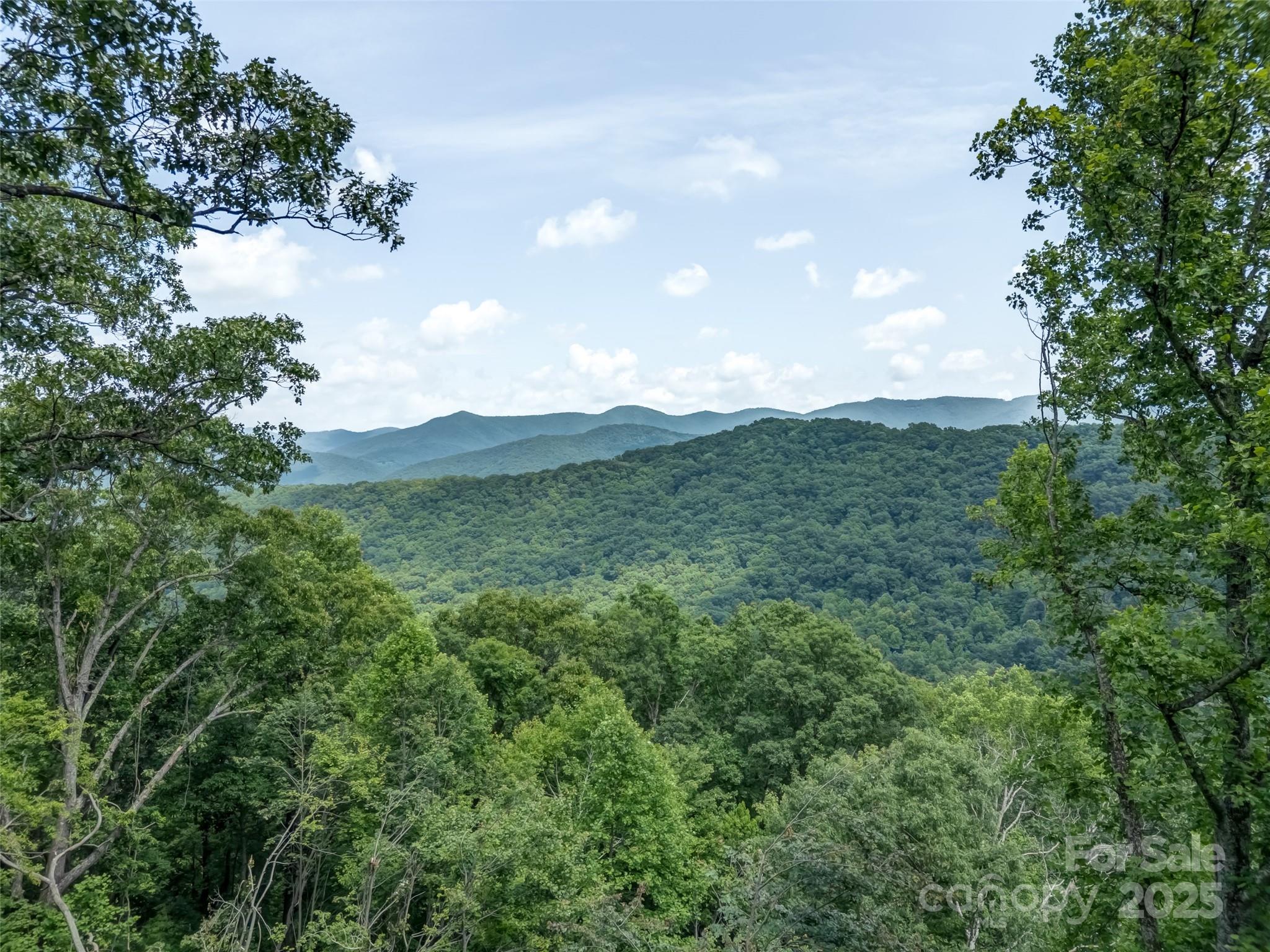 100 White Rock Branch Road Property Photo 13