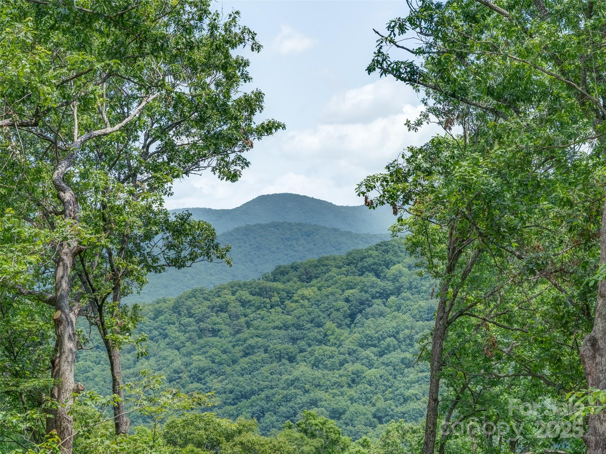 100 White Rock Branch Road Property Photo 15