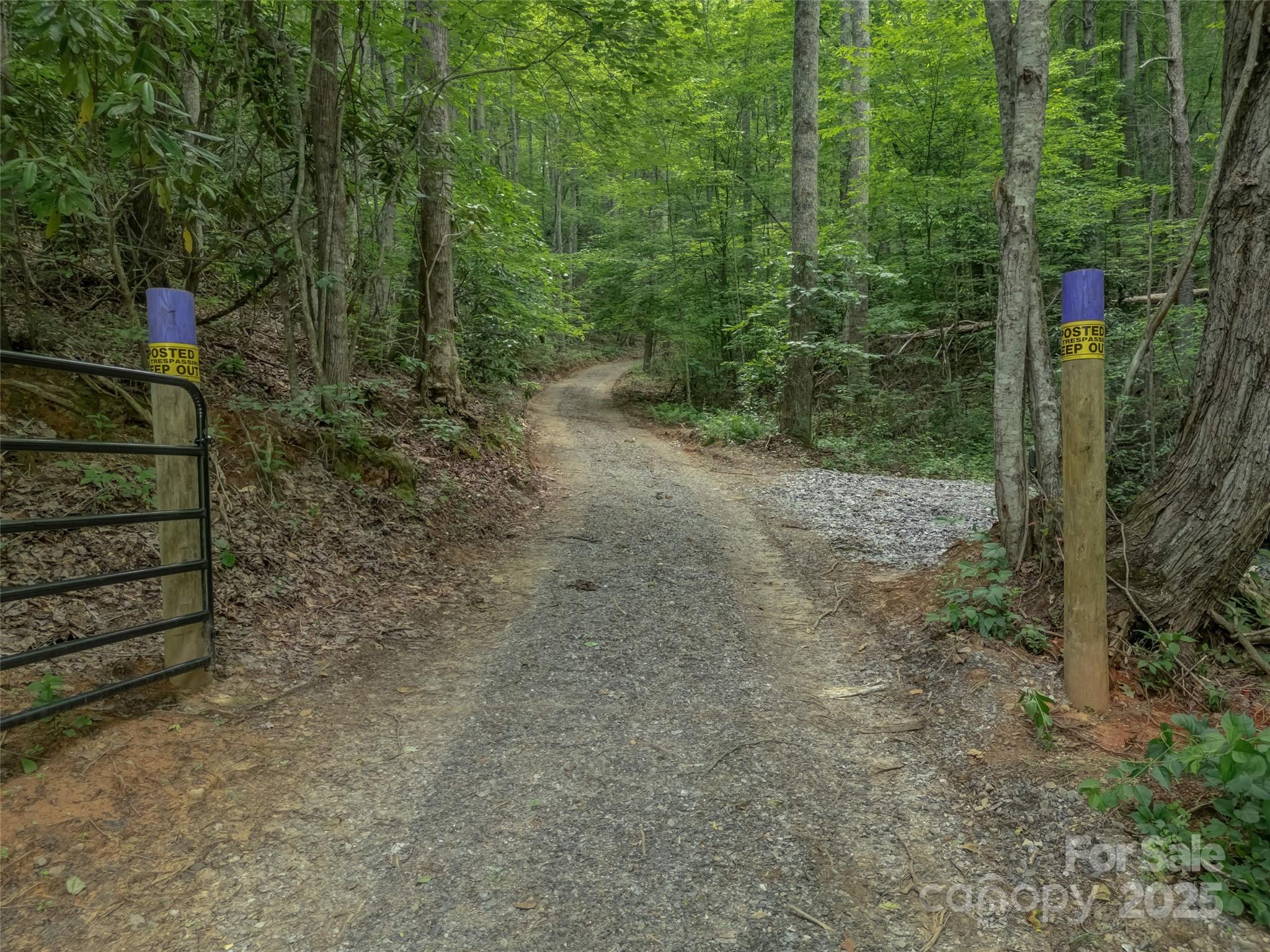 100 White Rock Branch Road Property Photo 16