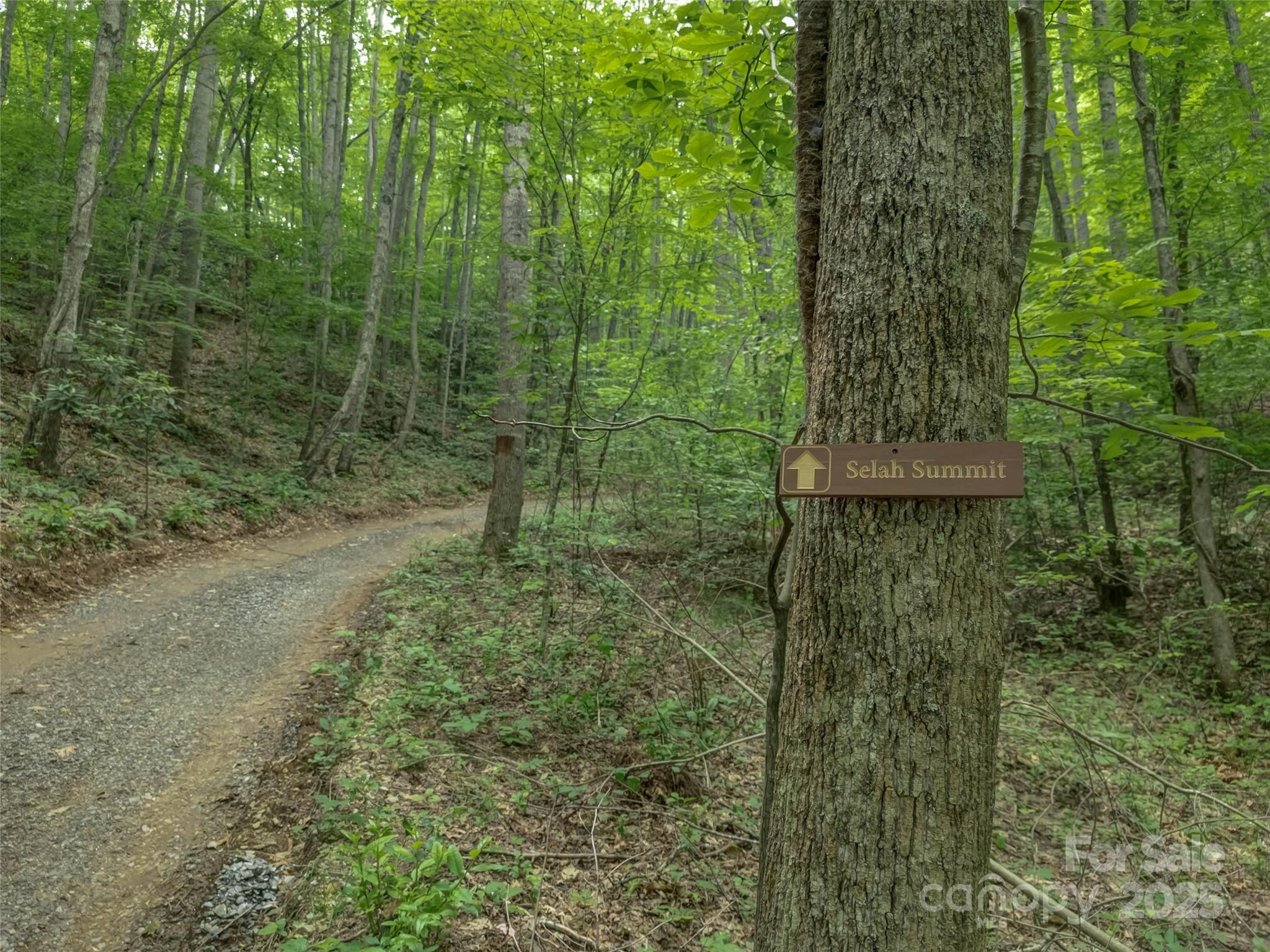 100 White Rock Branch Road Property Photo 17