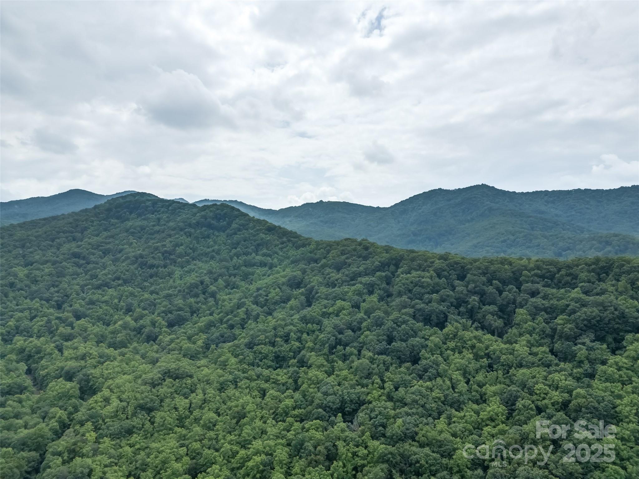 100 White Rock Branch Road Property Photo 30