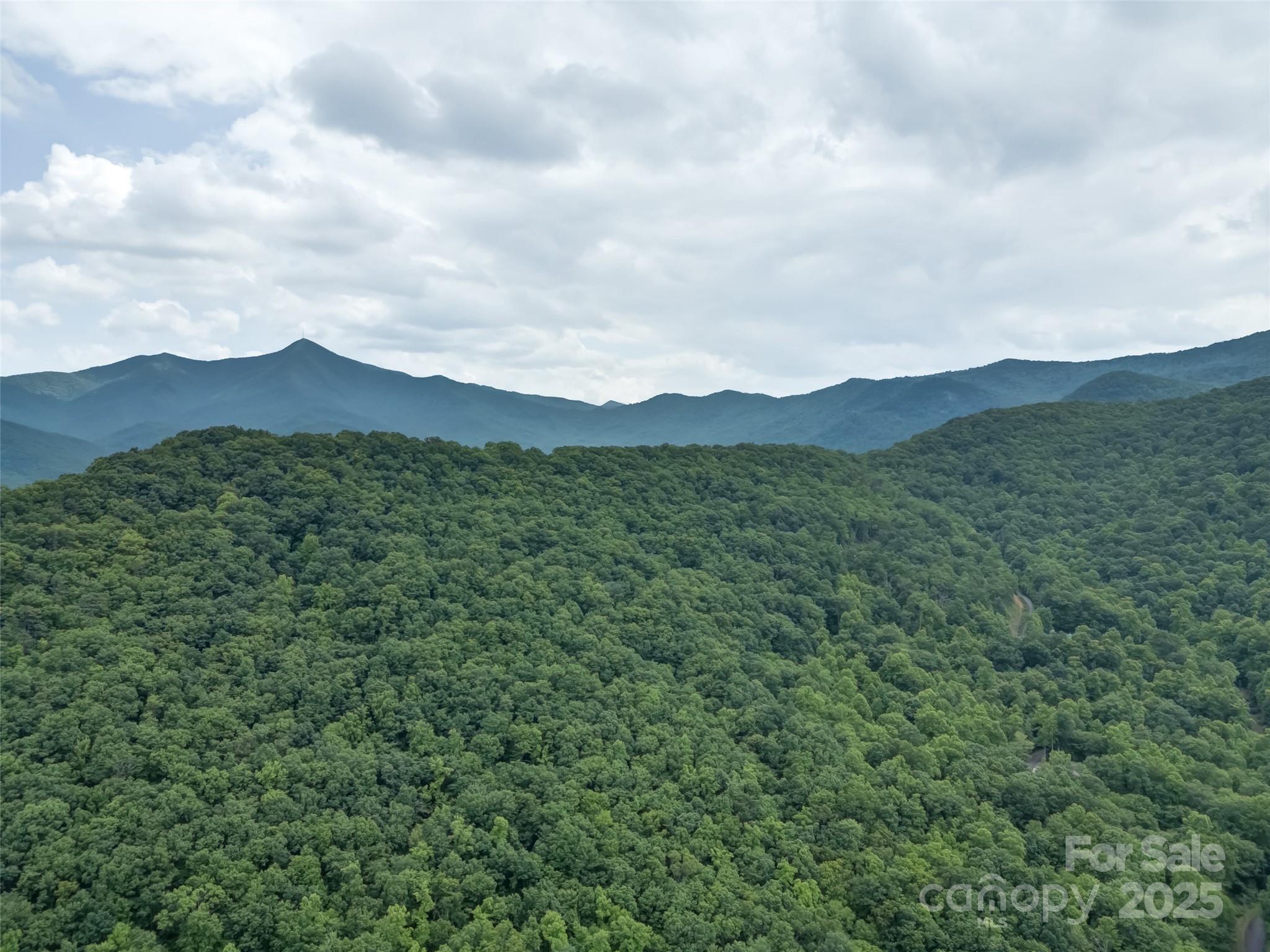 100 White Rock Branch Road Property Photo 31