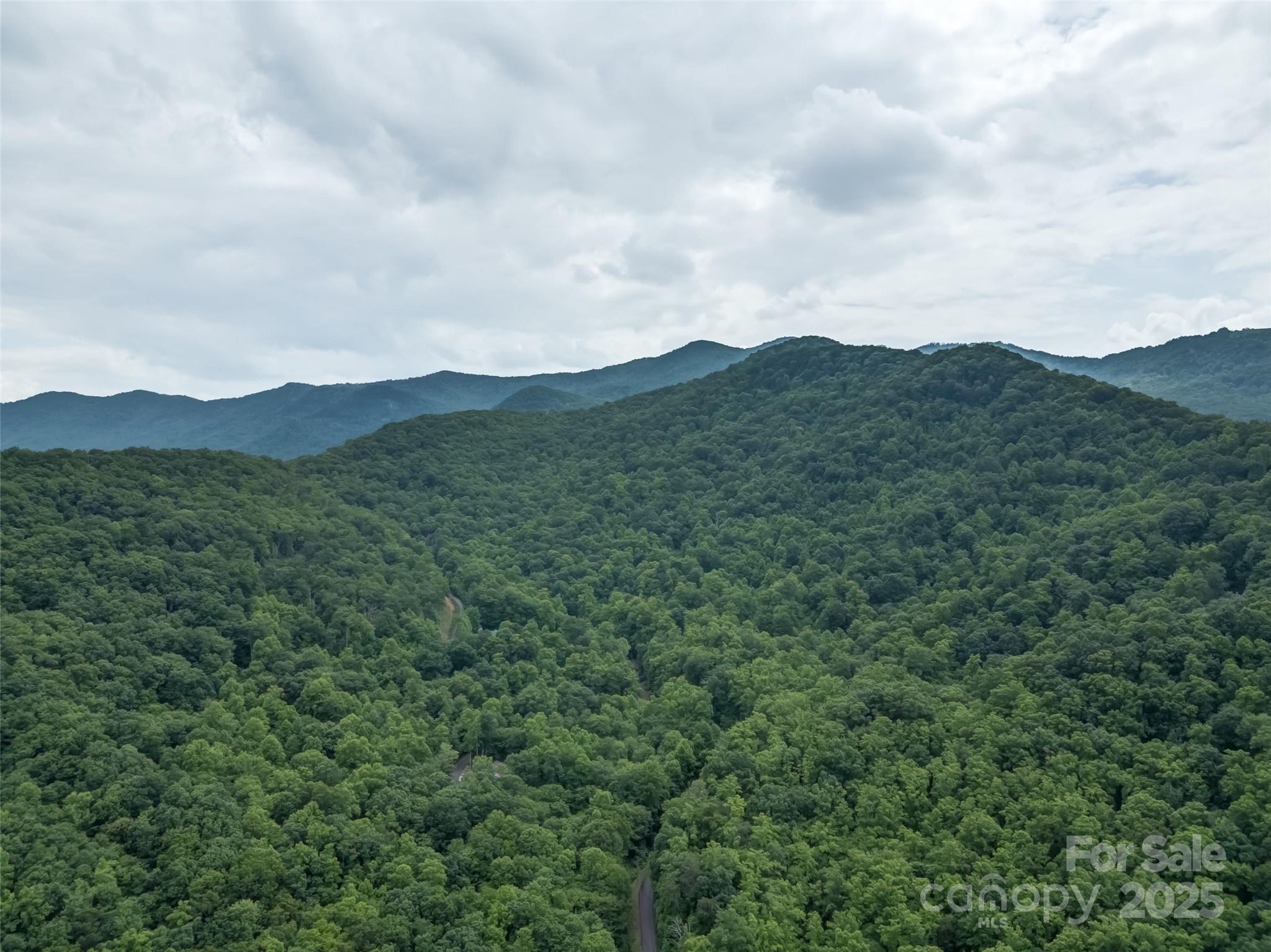 100 White Rock Branch Road Property Photo 32