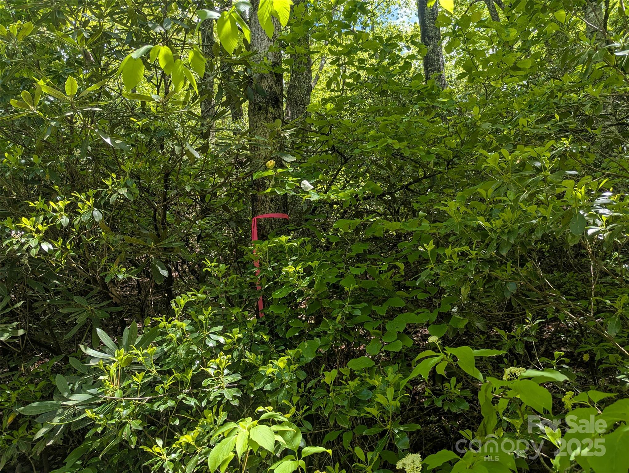 99999 Prospectors Trail Property Photo 2