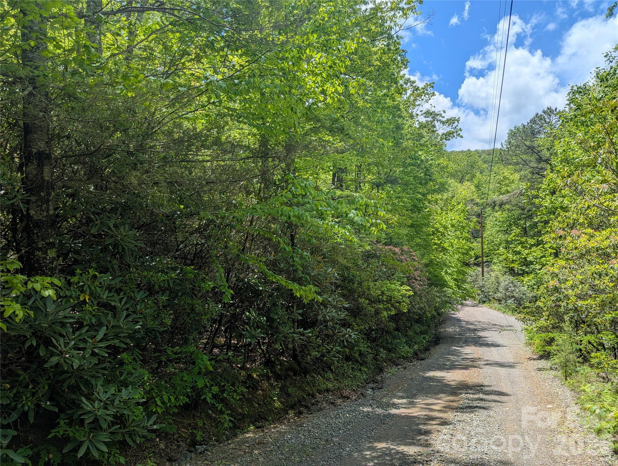 99999 Prospectors Trail Property Photo 4