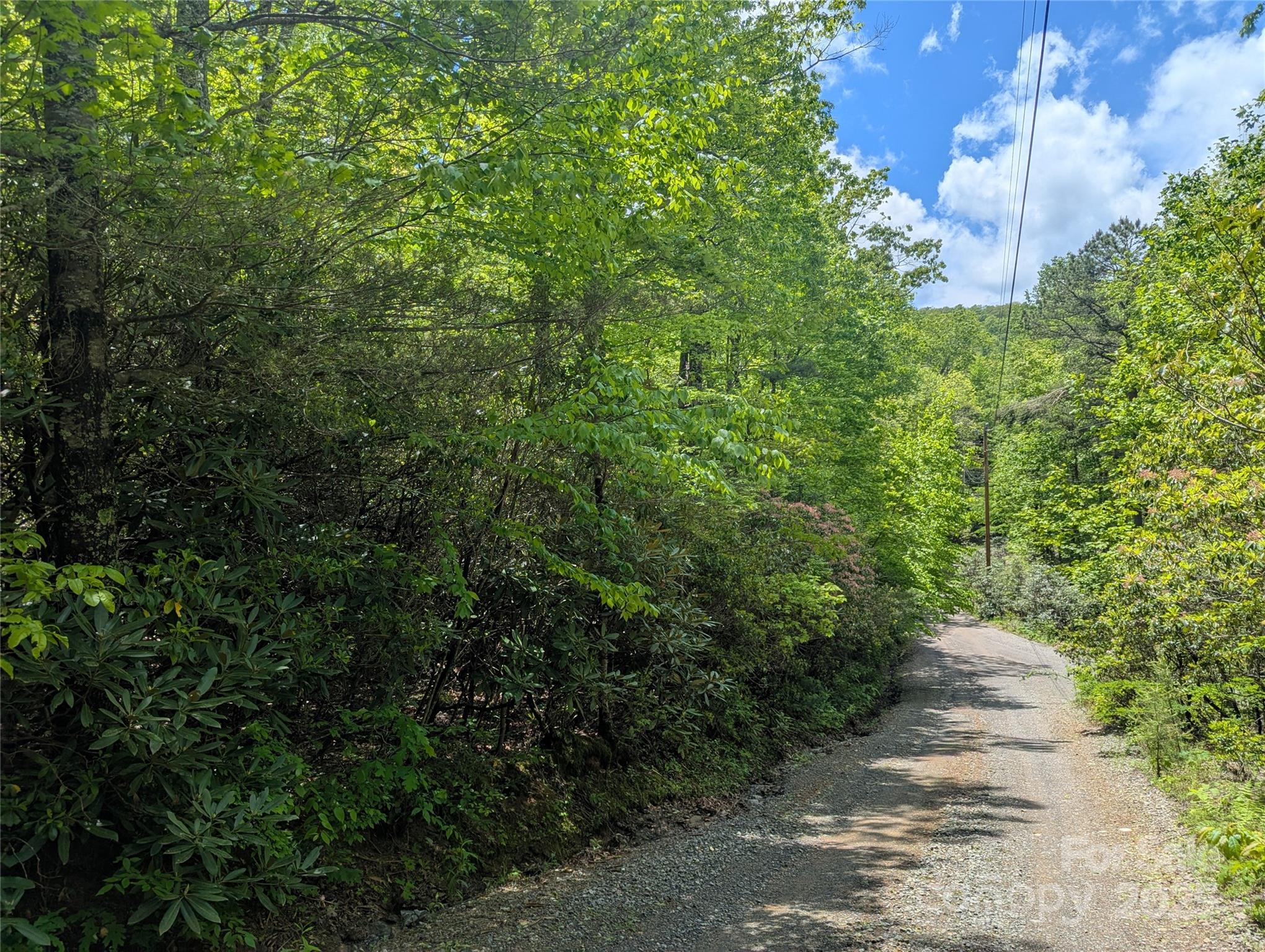 99999 Prospectors Trail Property Photo 5