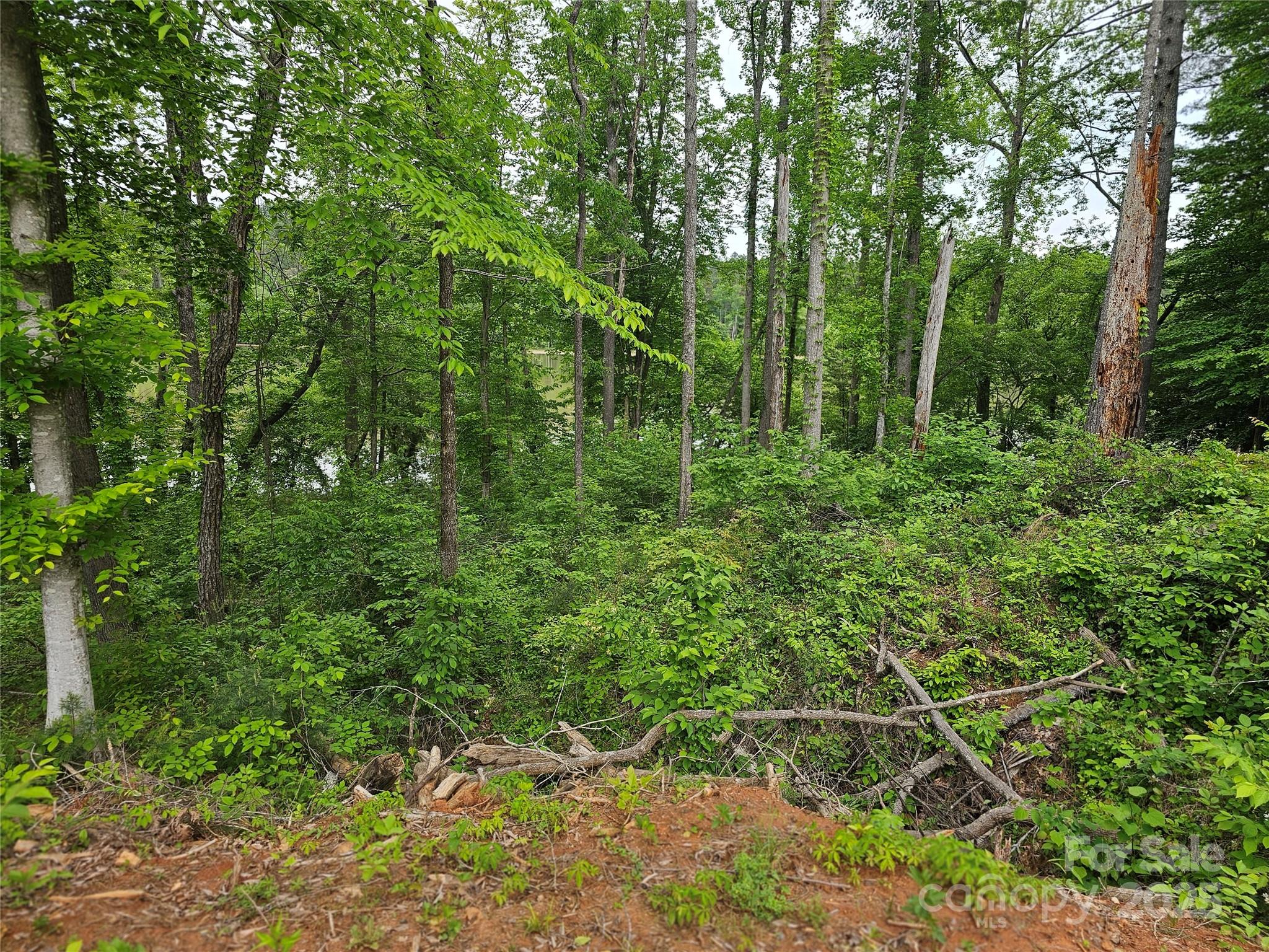 175 Edgewater Point Property Photo 14
