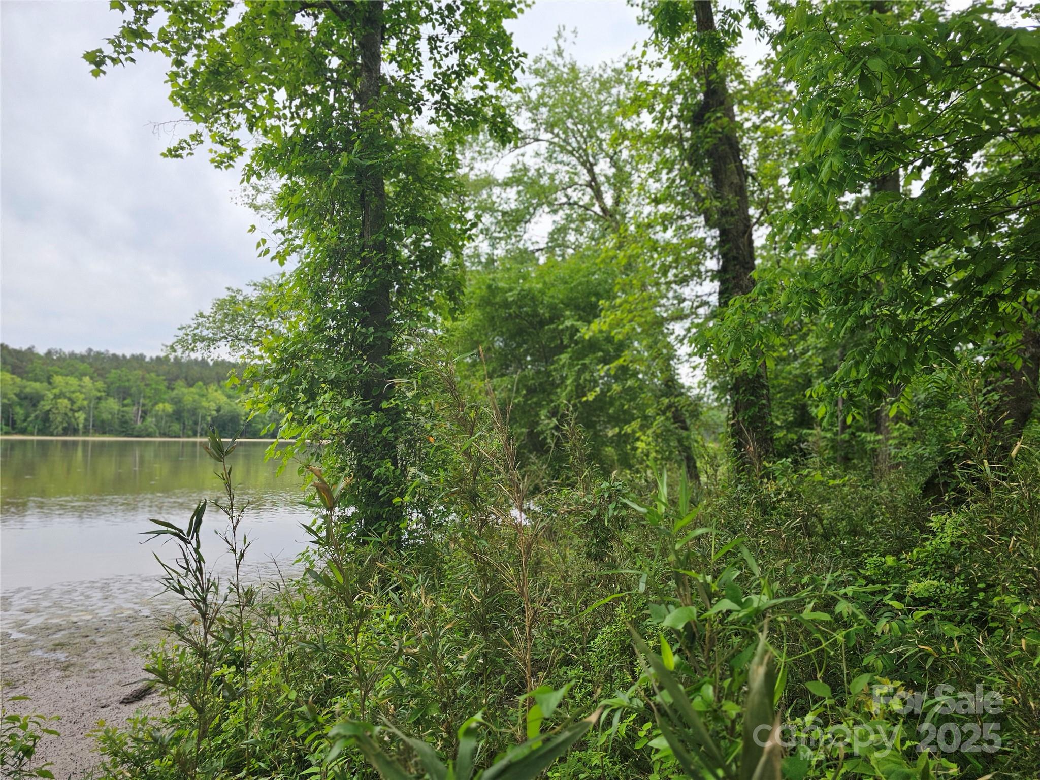 175 Edgewater Point Property Photo 24