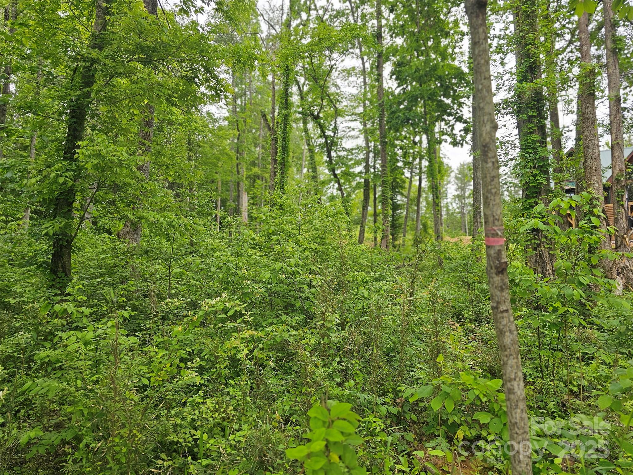 175 Edgewater Point Property Photo 25
