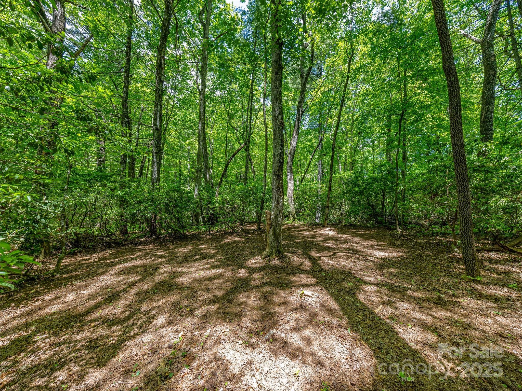 J 33 Cherokee Point Property Photo 7