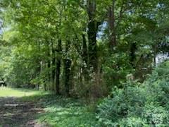 200 Long Street Property Photo 6