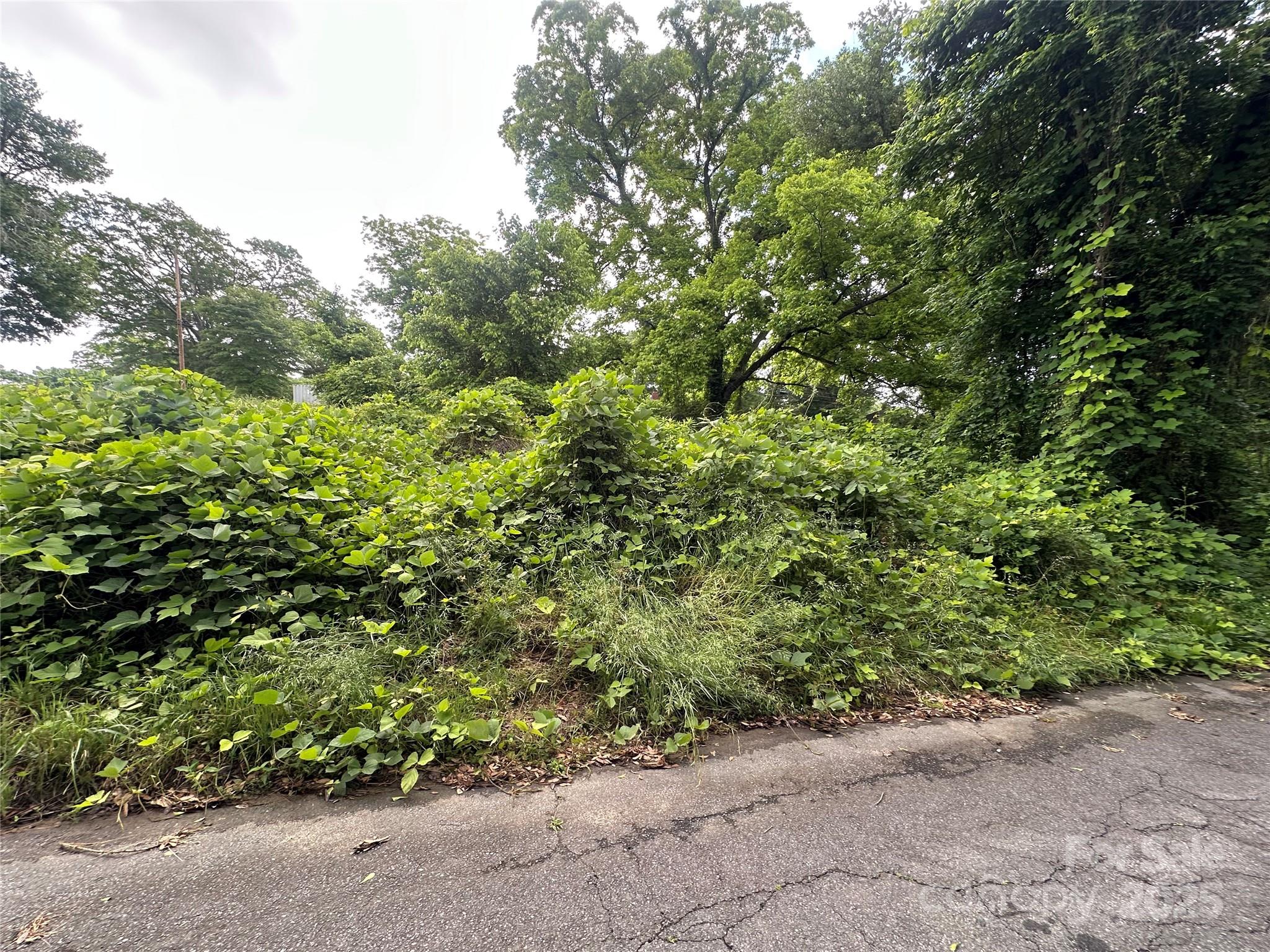 65 Walnut Street Property Photo 1