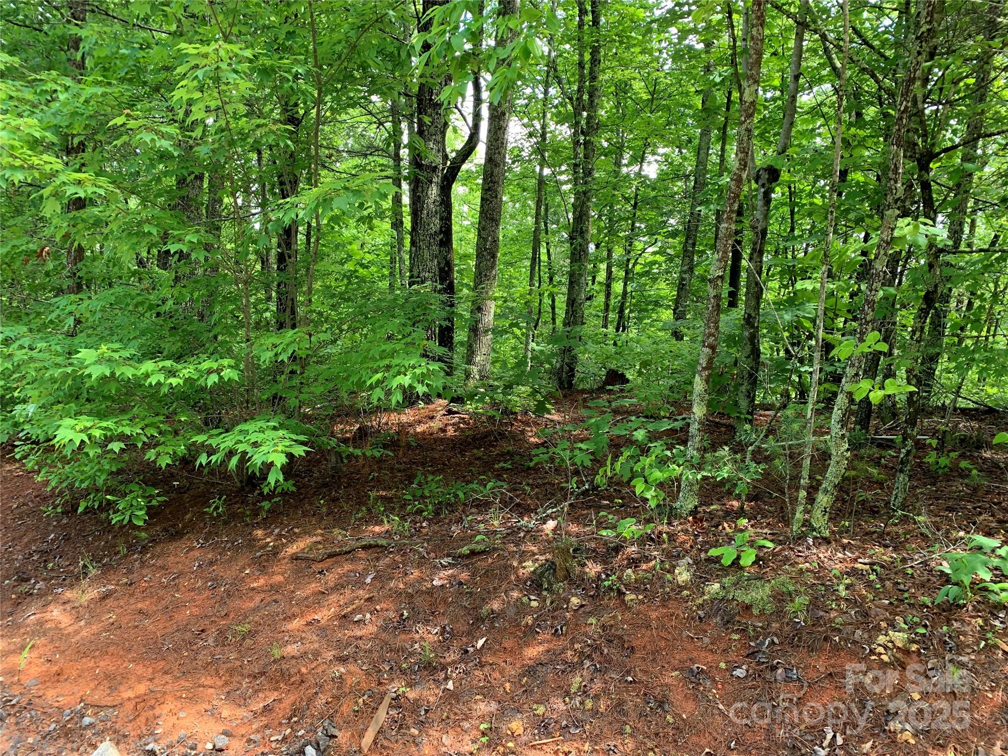 Lot 838b Whispering Hills Lane Property Photo 5
