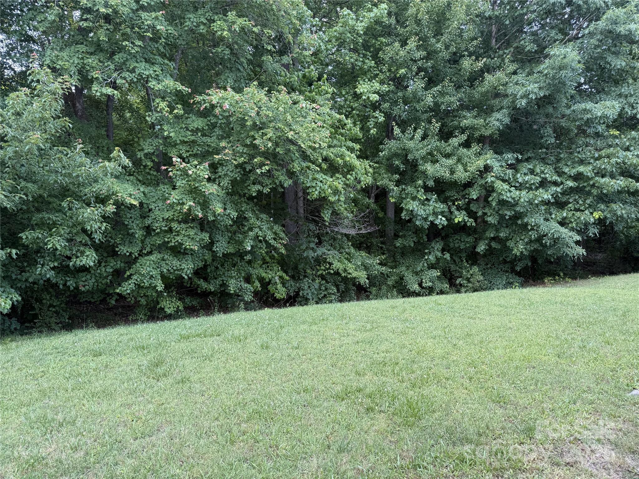 1623 Flagler Lane Property Photo 12