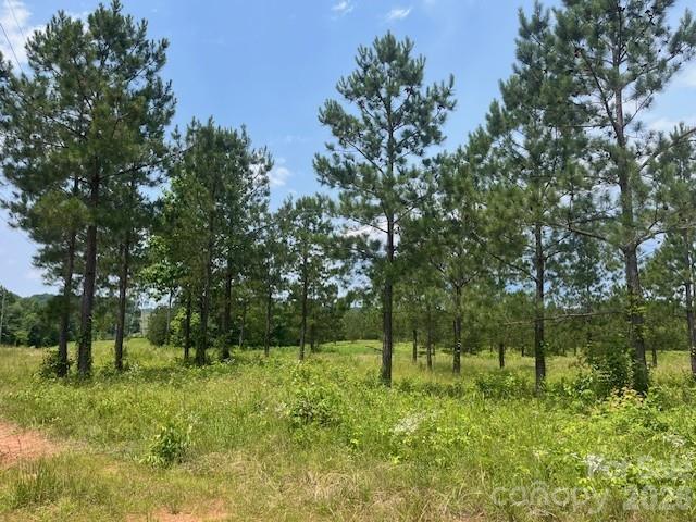 2200 Oweda Drive Property Photo 13