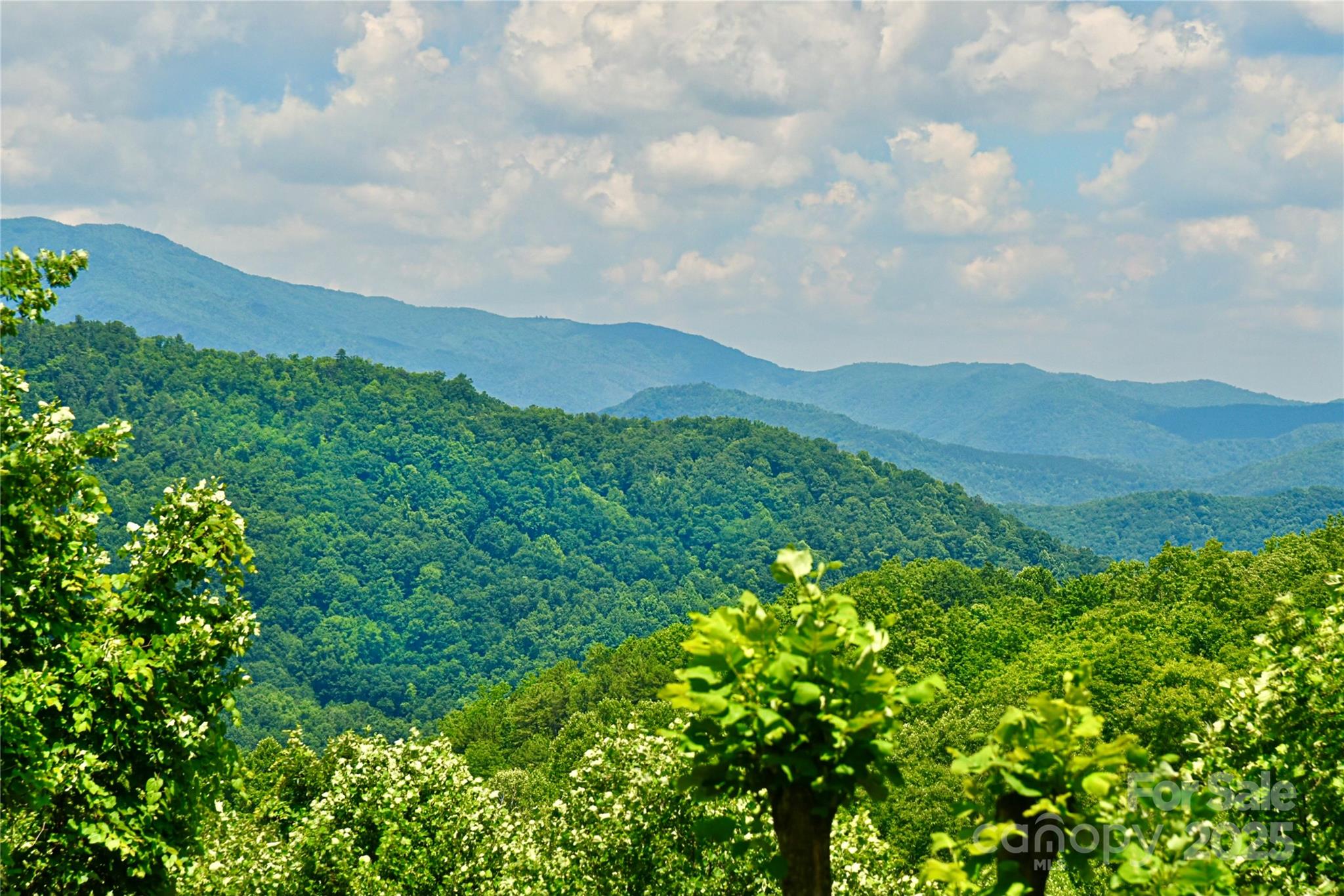 140 Atlantic Falls Trail Property Photo 2