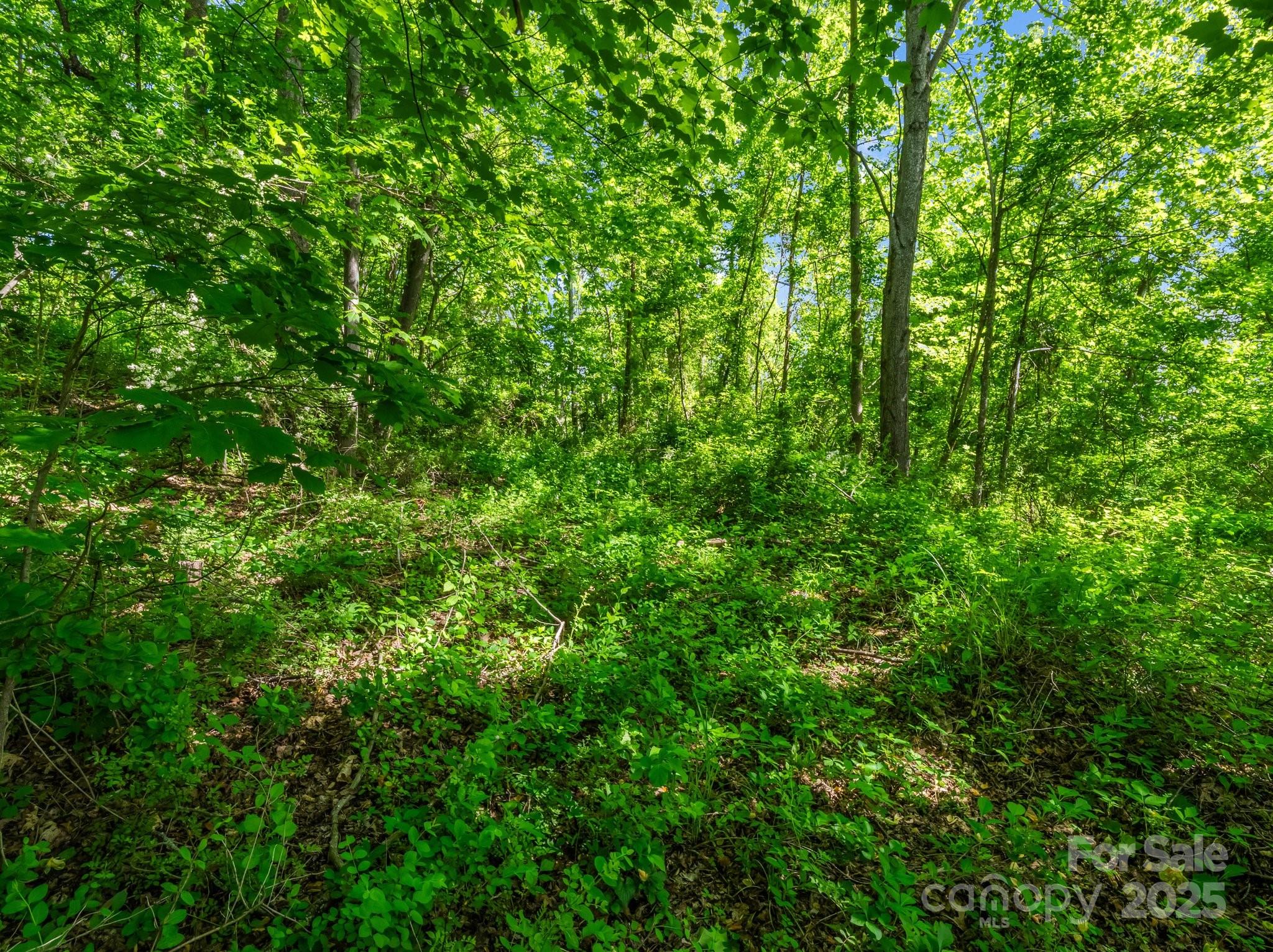 00 Hamilton Acres Drive Property Photo 6