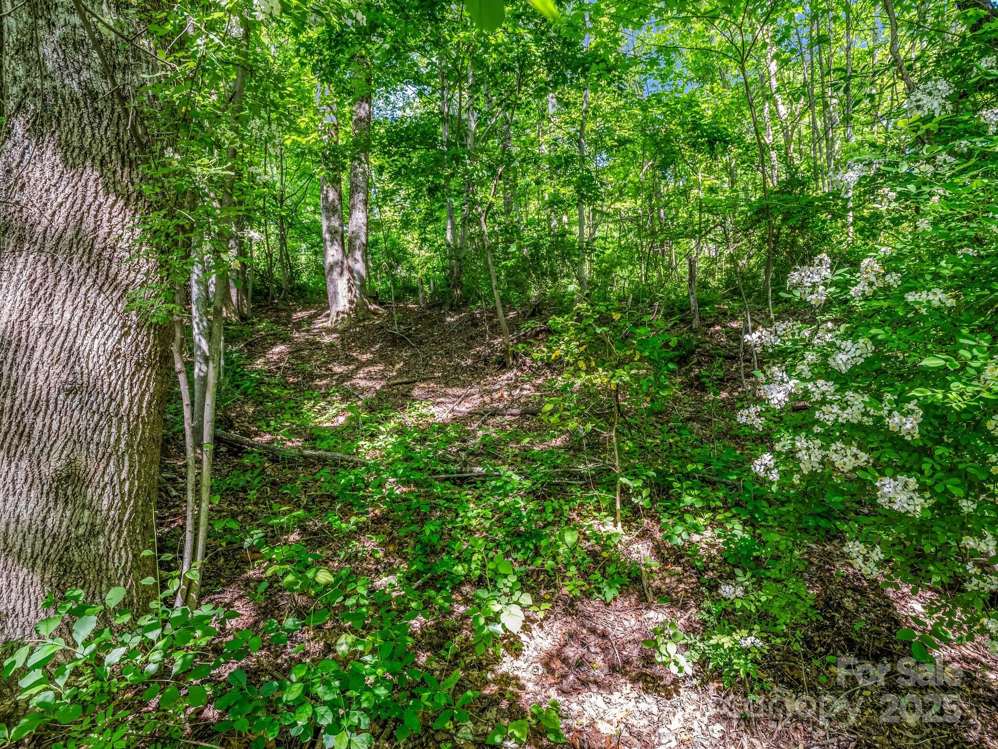 00 Hamilton Acres Drive Property Photo 8