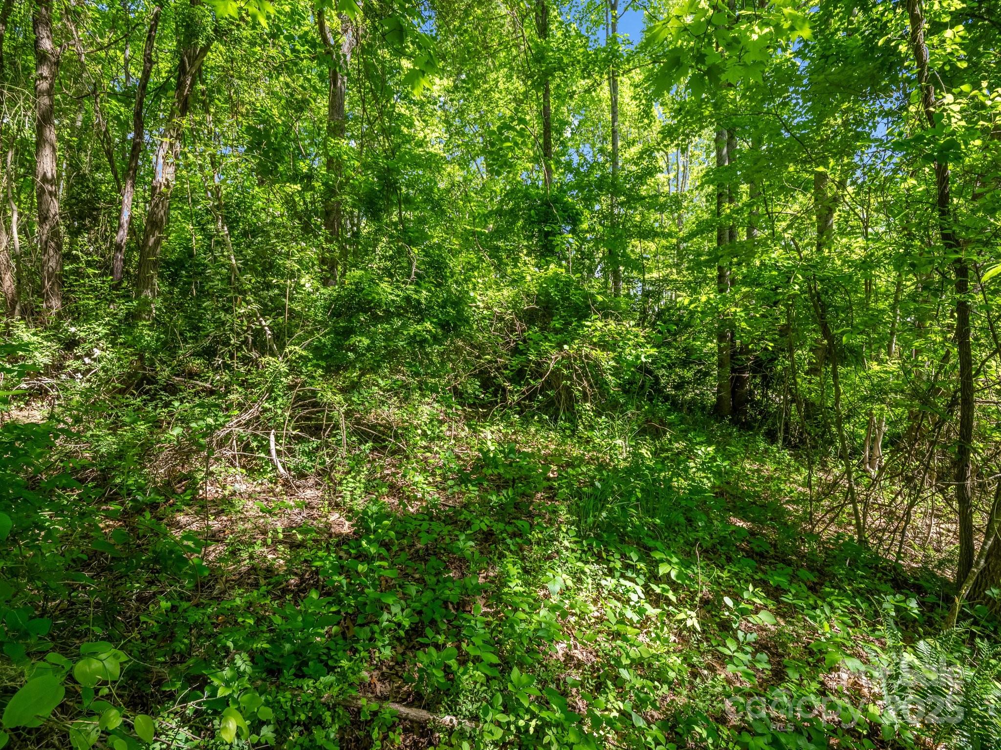 00 Hamilton Acres Drive Property Photo 9