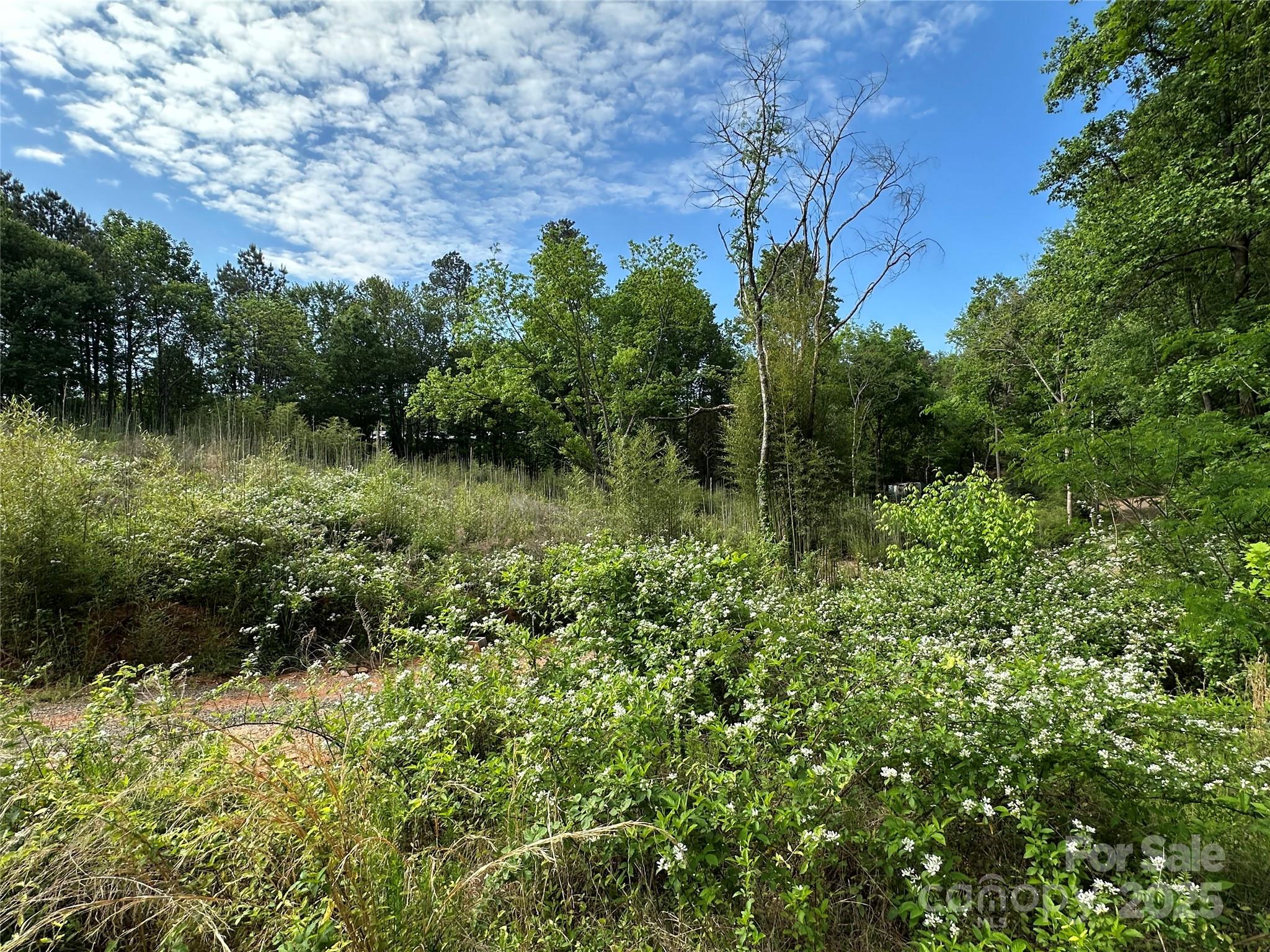 3027 Wilkesboro Highway Property Photo 12