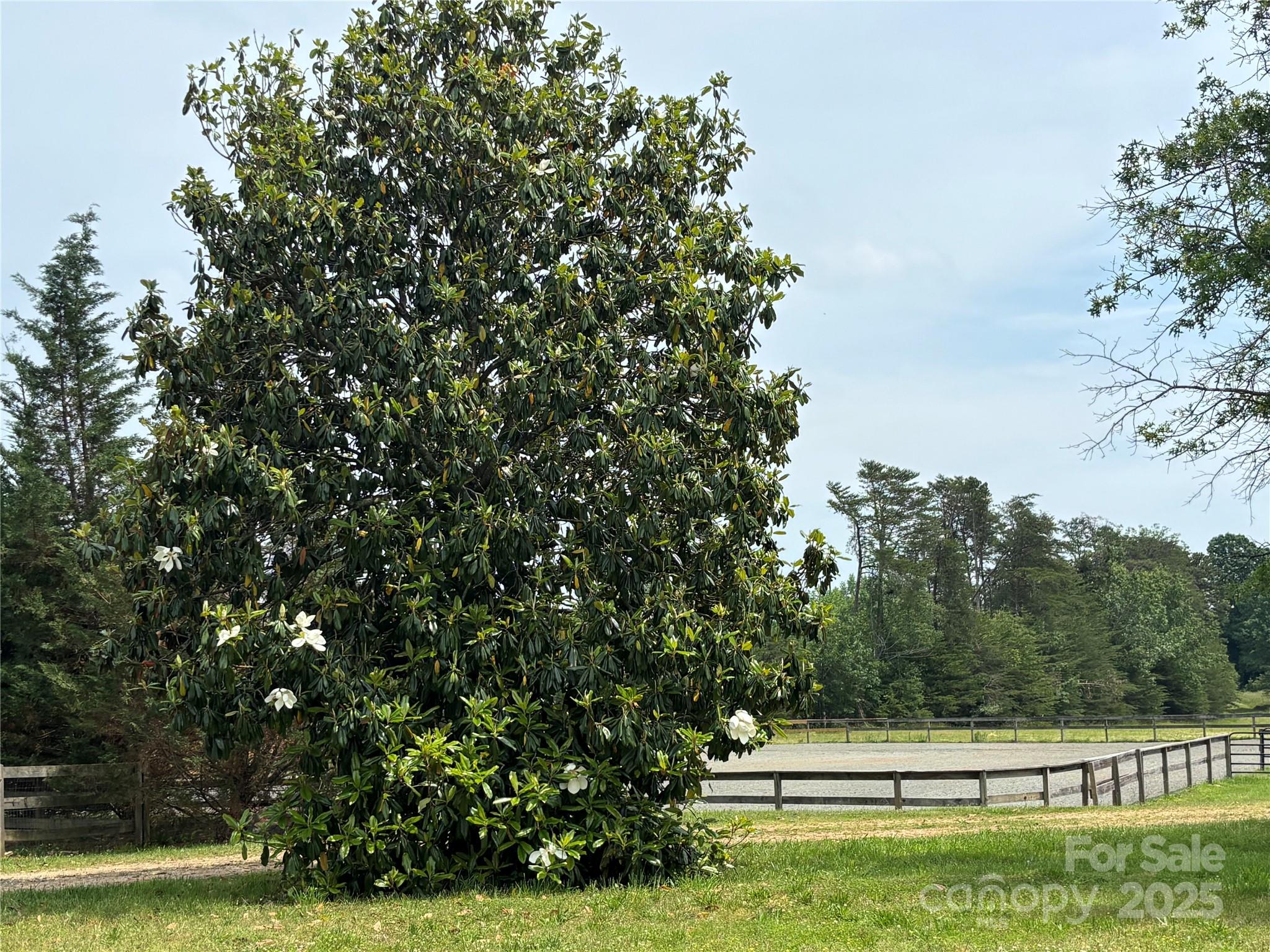 1896 Green Creek Drive Property Photo 15