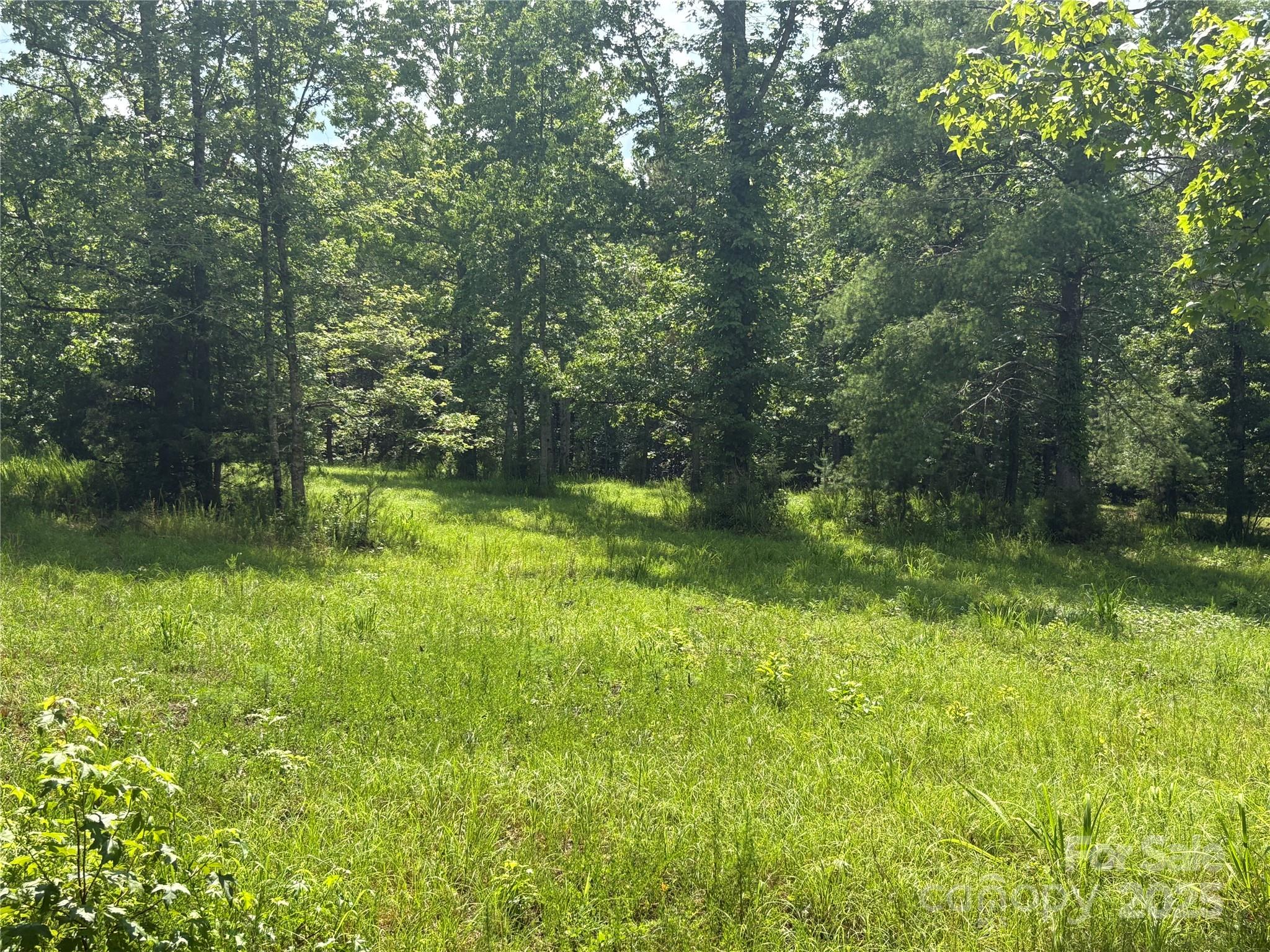 1896 Green Creek Drive Property Photo 18