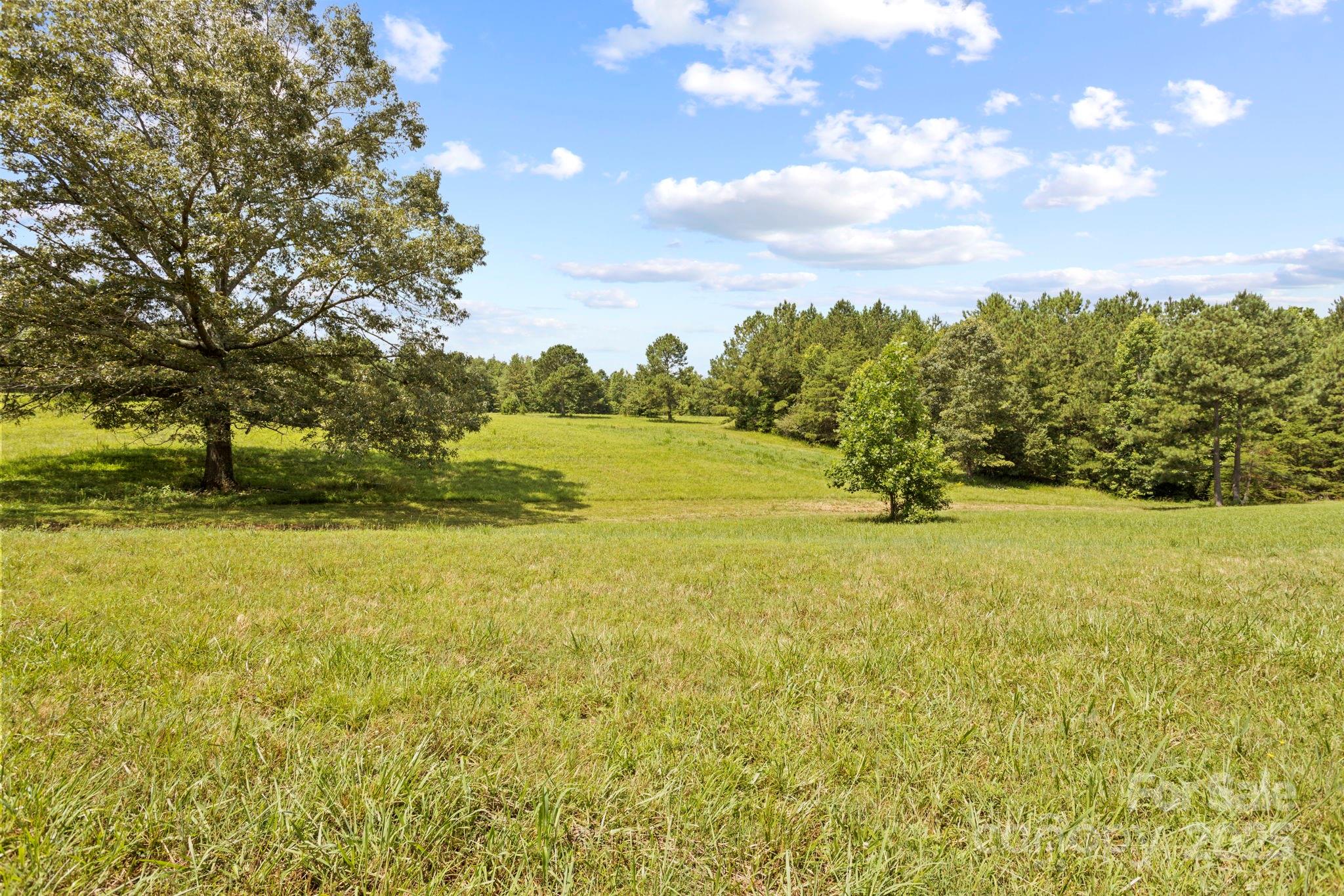 1896 Green Creek Drive Property Photo 39