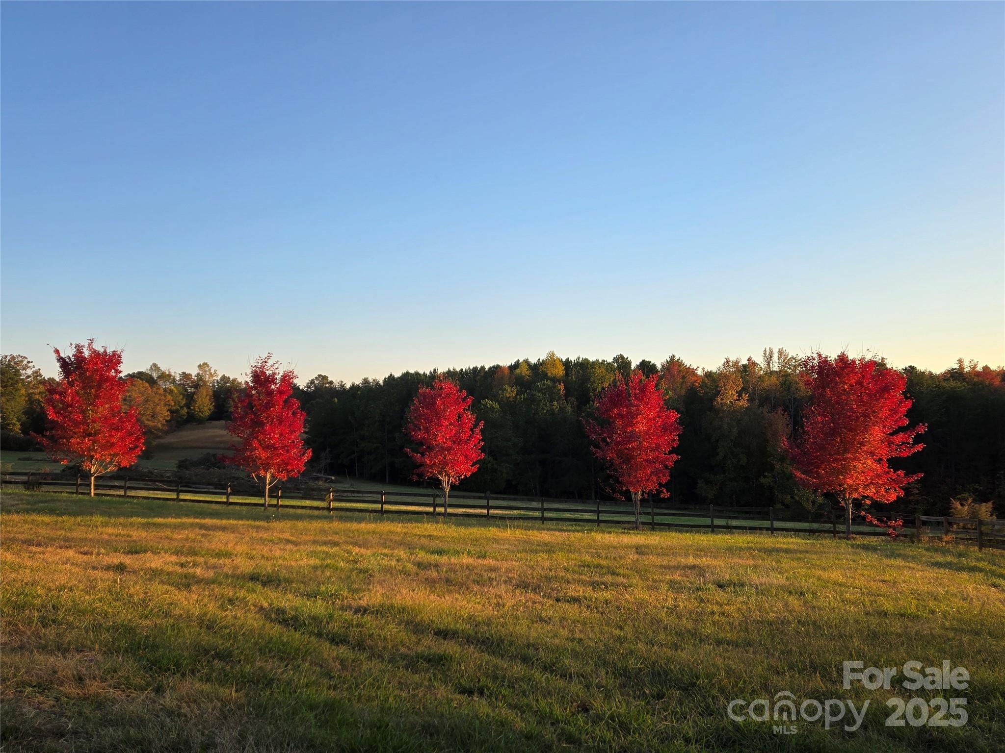 1896 Green Creek Drive Property Photo 44